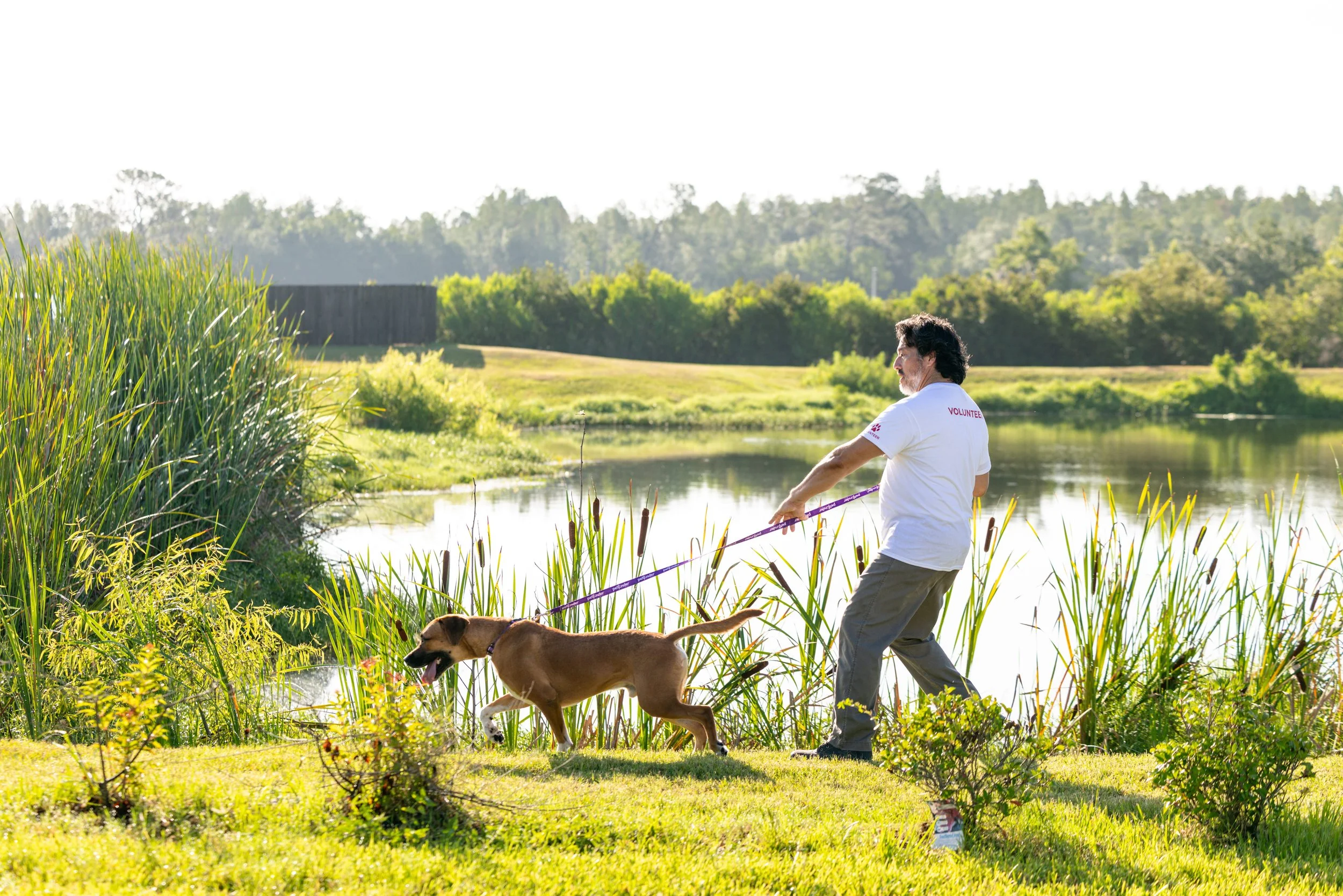EM_PETFINDER_TAMPA-8.jpg