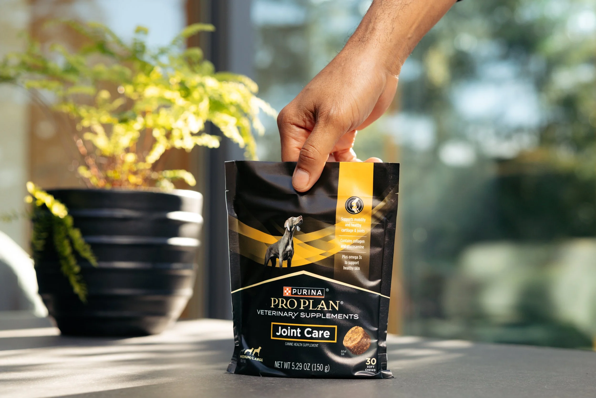 EM_PURINA_VANCOUVER-6.jpg