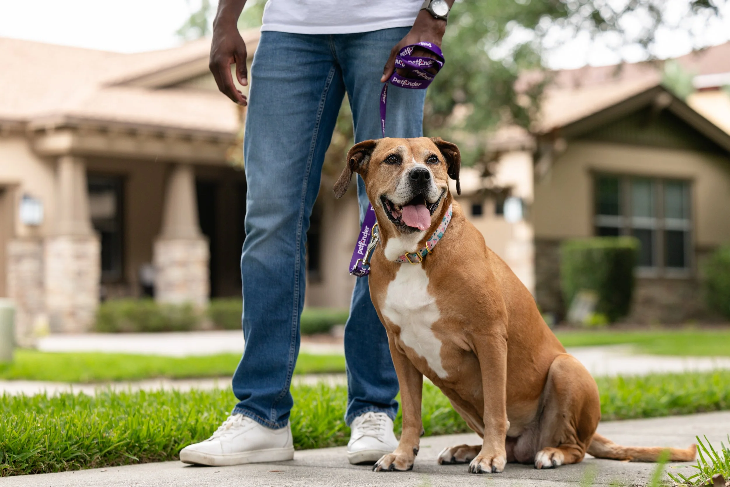 EM_PETFINDER_TAMPA-208.jpg