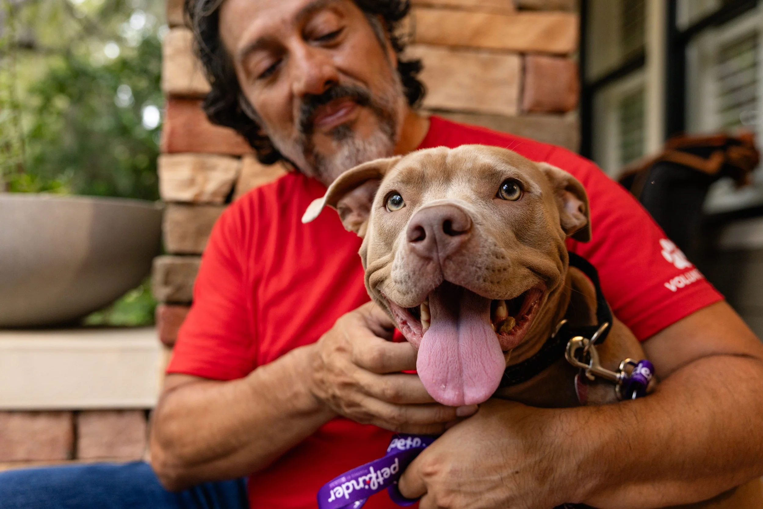 EM_PETFINDER_TAMPA-186.jpg