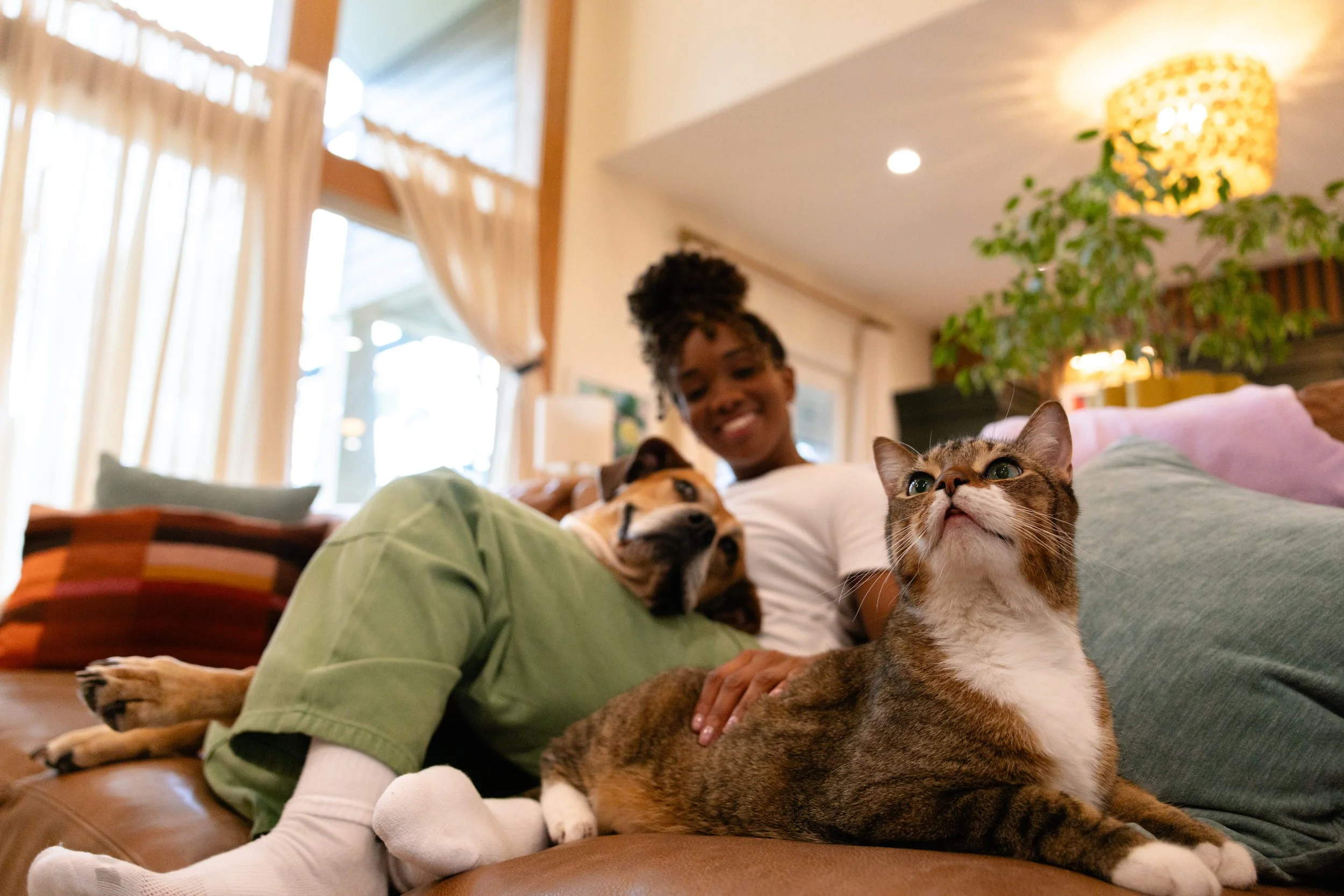 EM_PETFINDER_TAMPA-165.jpg