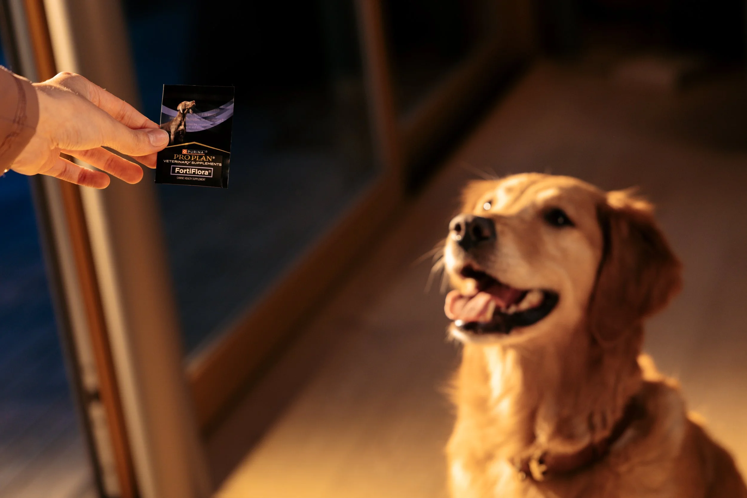 EM_PURINA_VANCOUVER-69.jpg