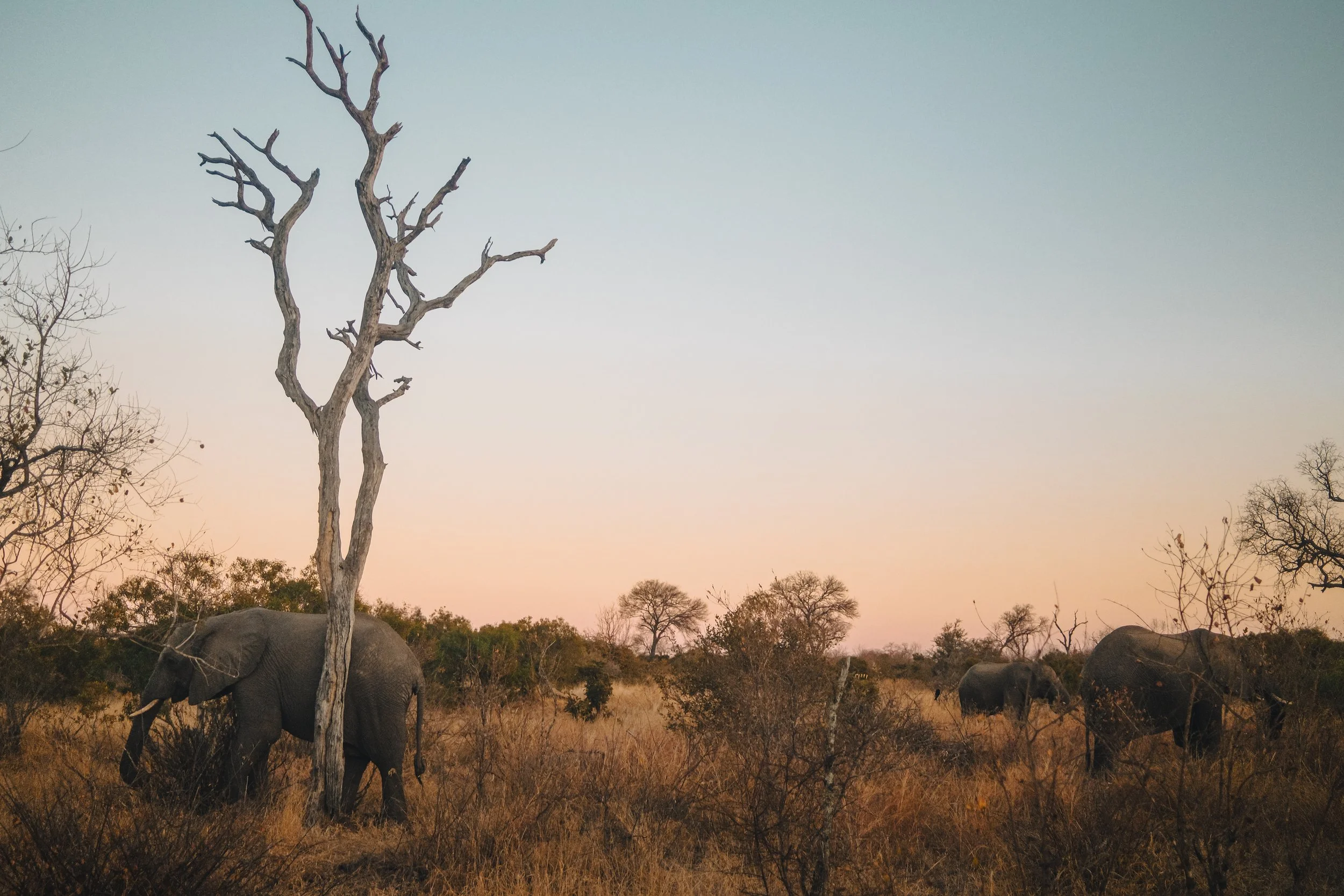 EM_2AFRICA_EXPORT-111.jpg