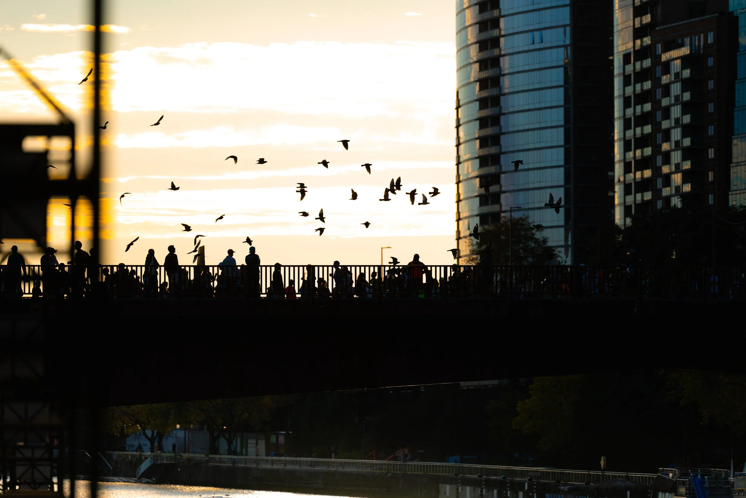 chicagomarathonfull-16.jpg