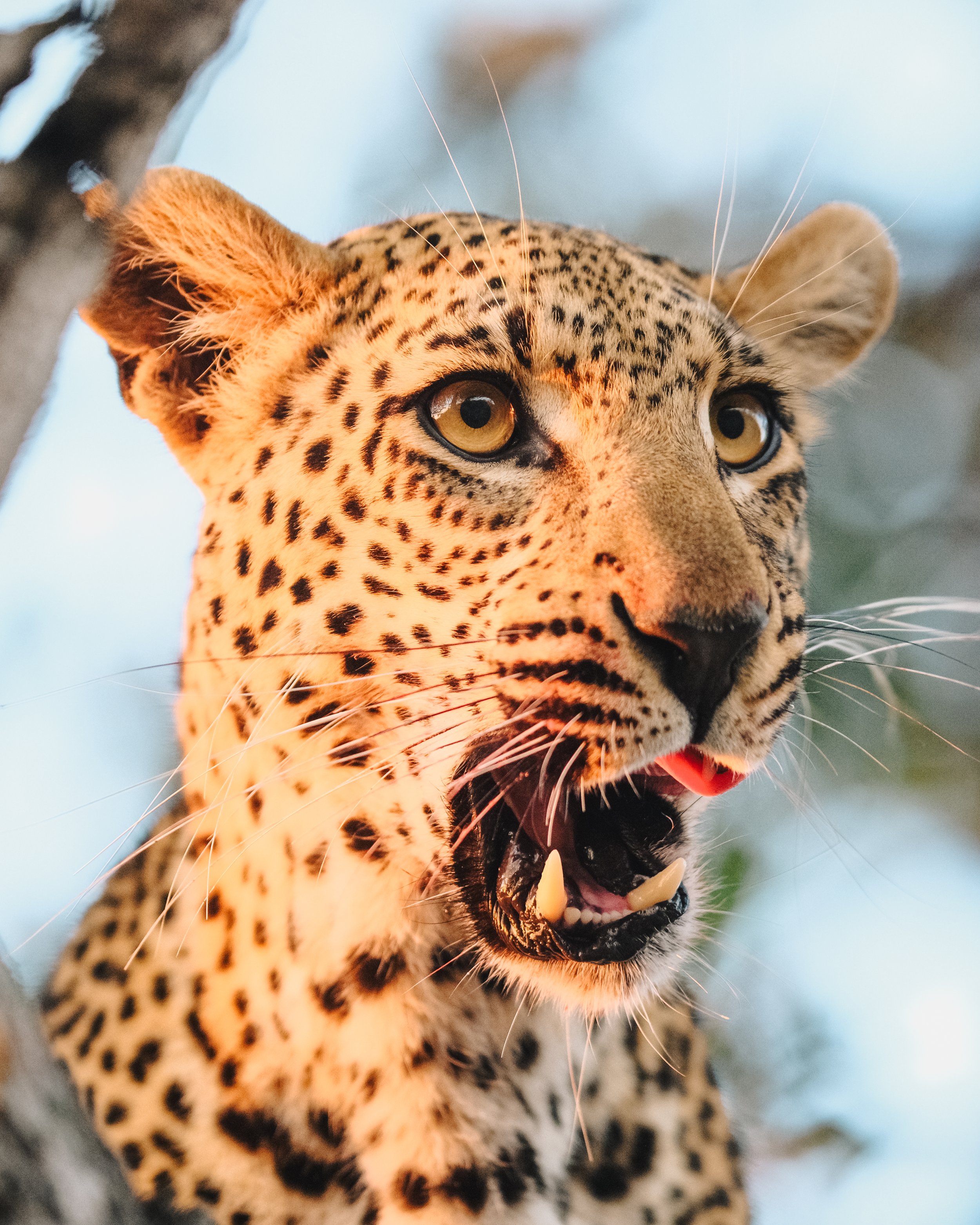 EM_2AFRICA_EXPORT-170-2.jpg