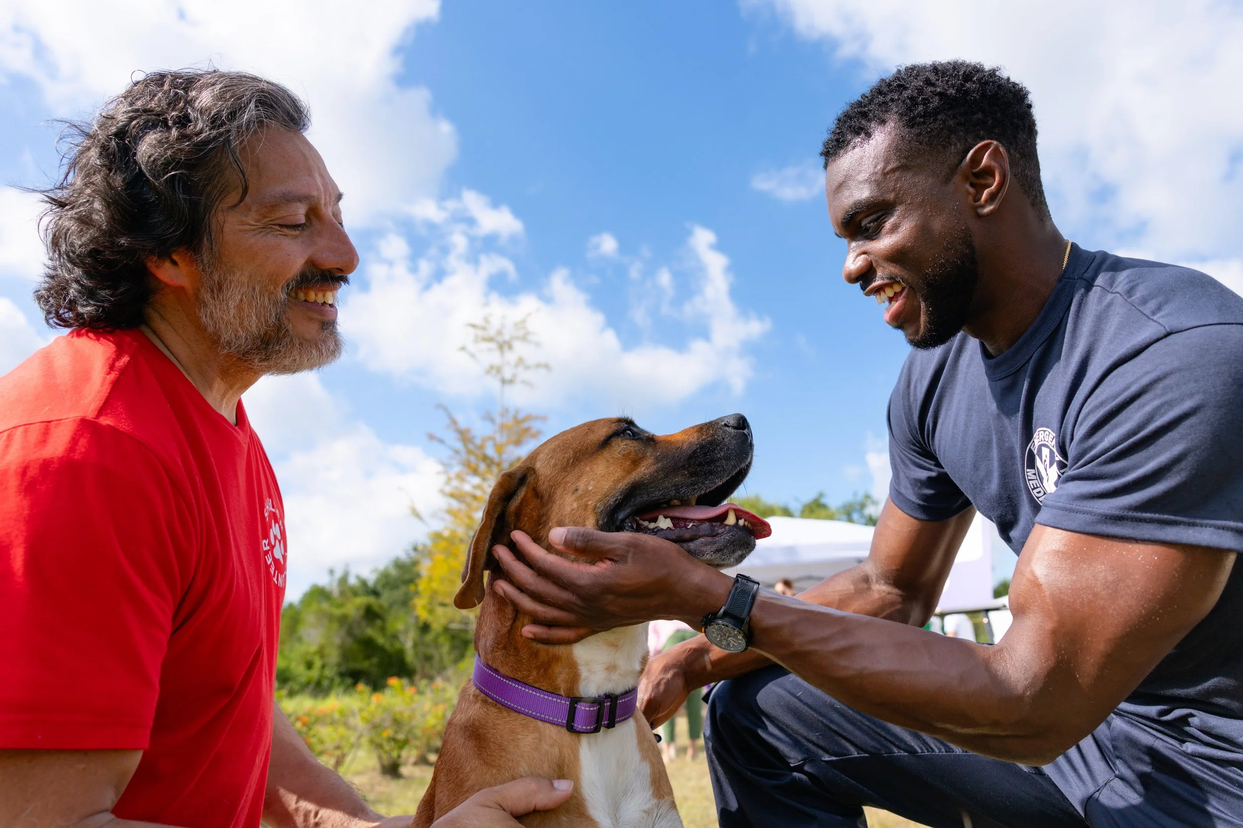 EM_PETFINDER_TAMPA-23.jpg