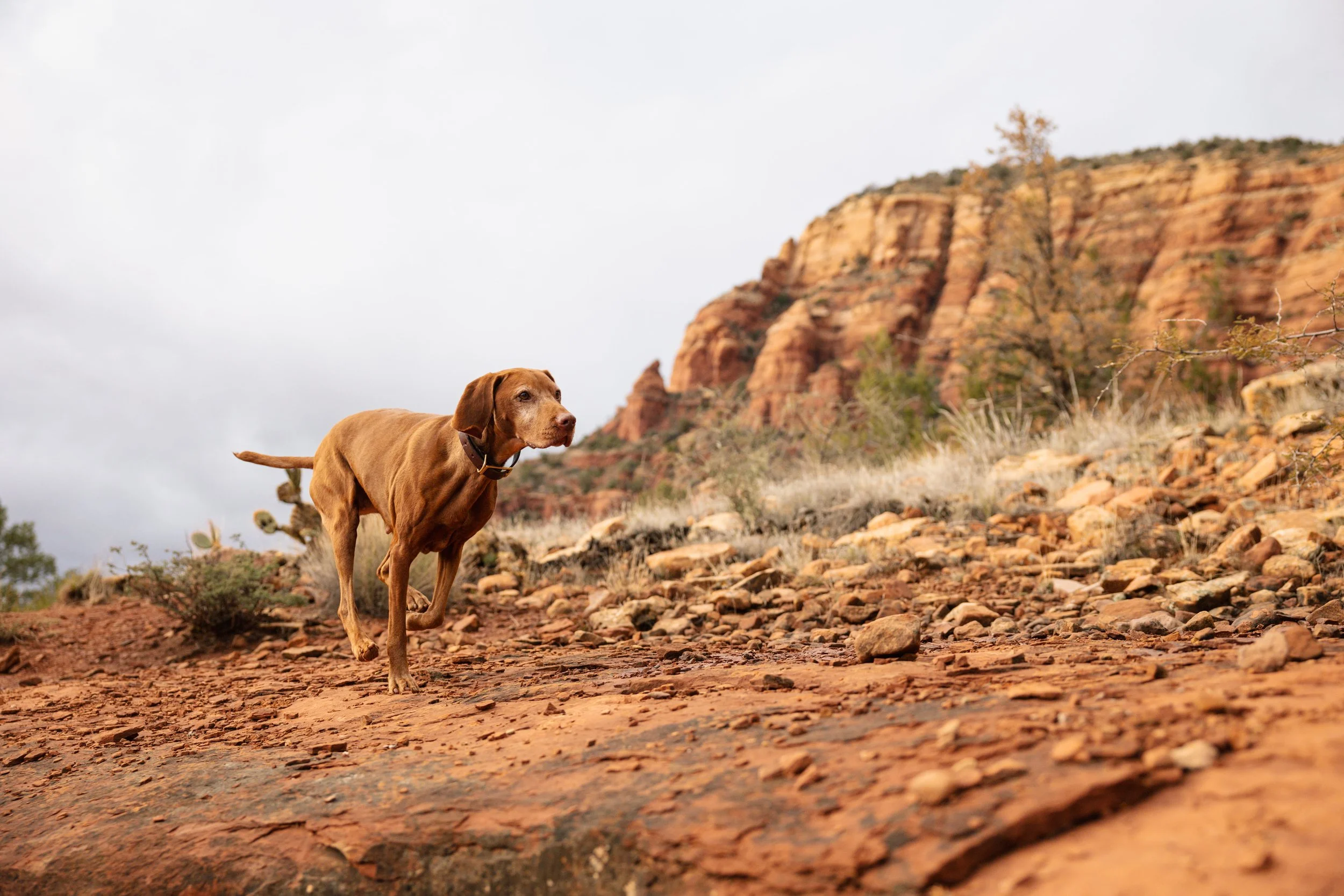 EM_SEDONA_EXPORT-67.jpg