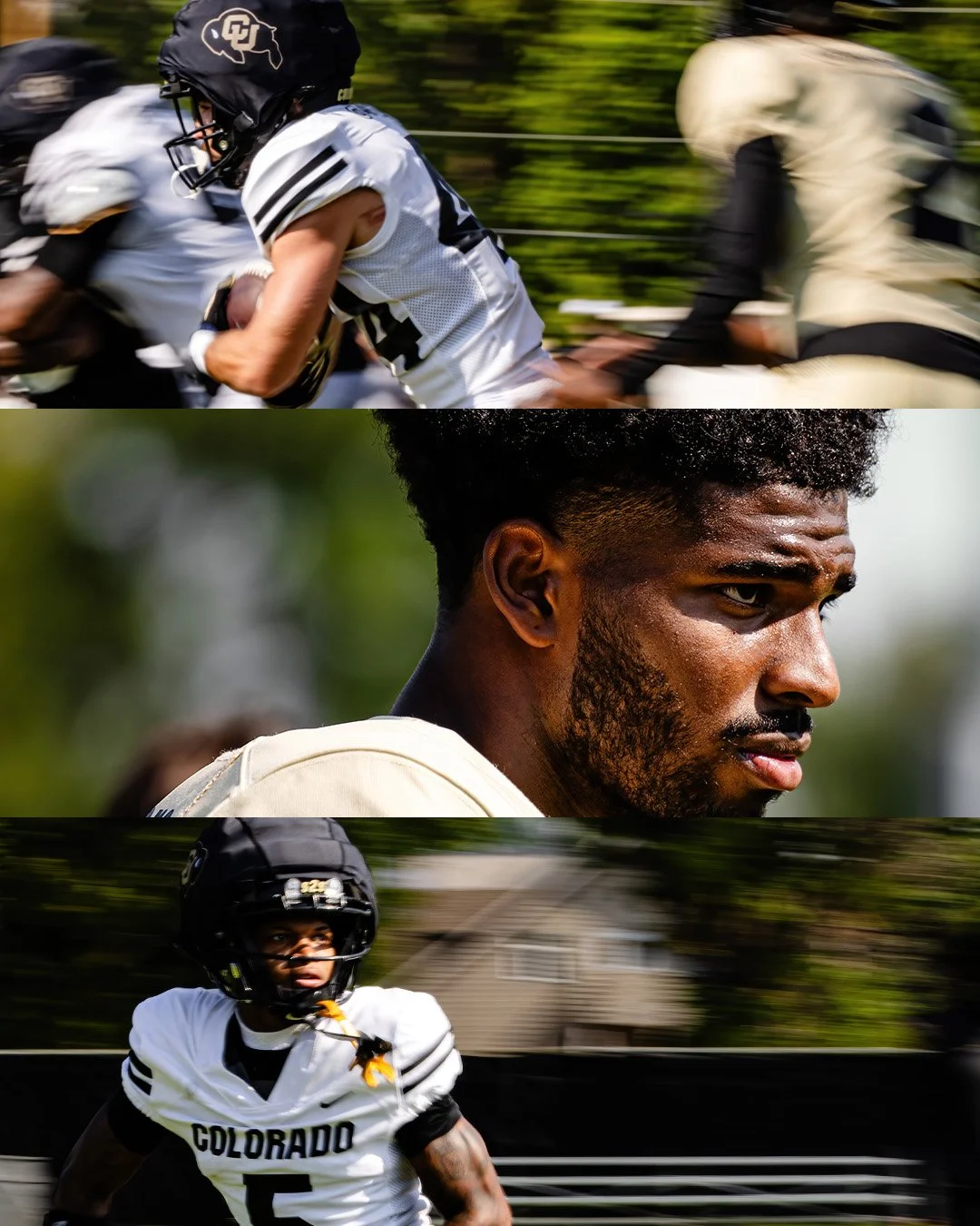 Artboard 4 copy 14.JPG