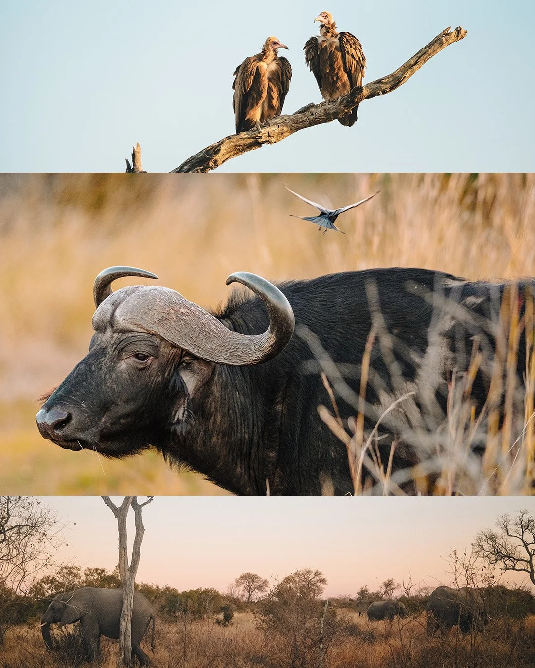 Artboard 4 copy 28.jpg