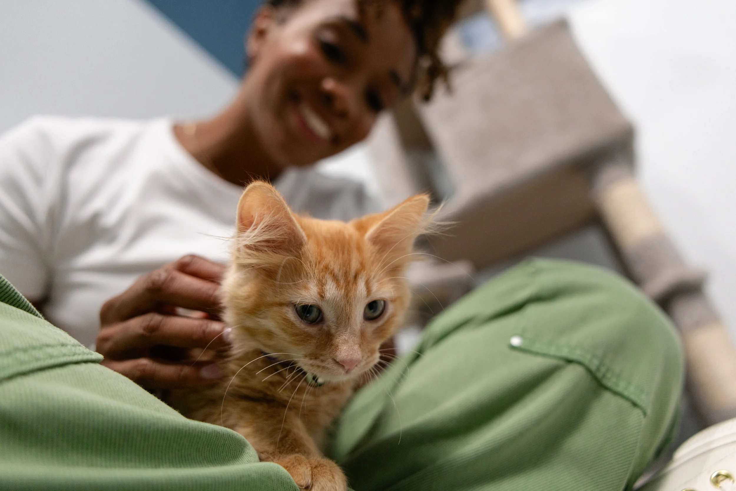 EM_PETFINDER_TAMPA-151.jpg