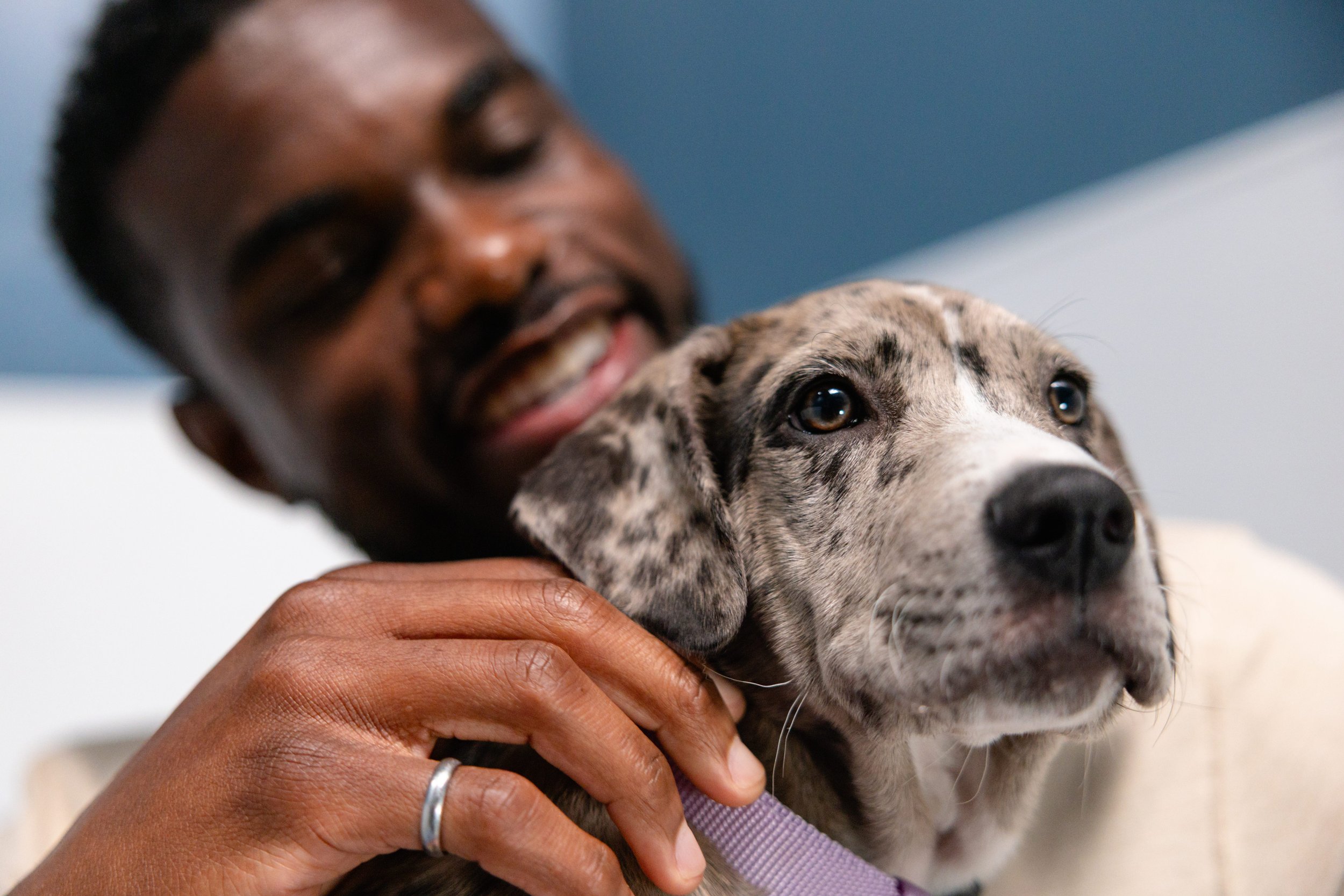 PETFINDER