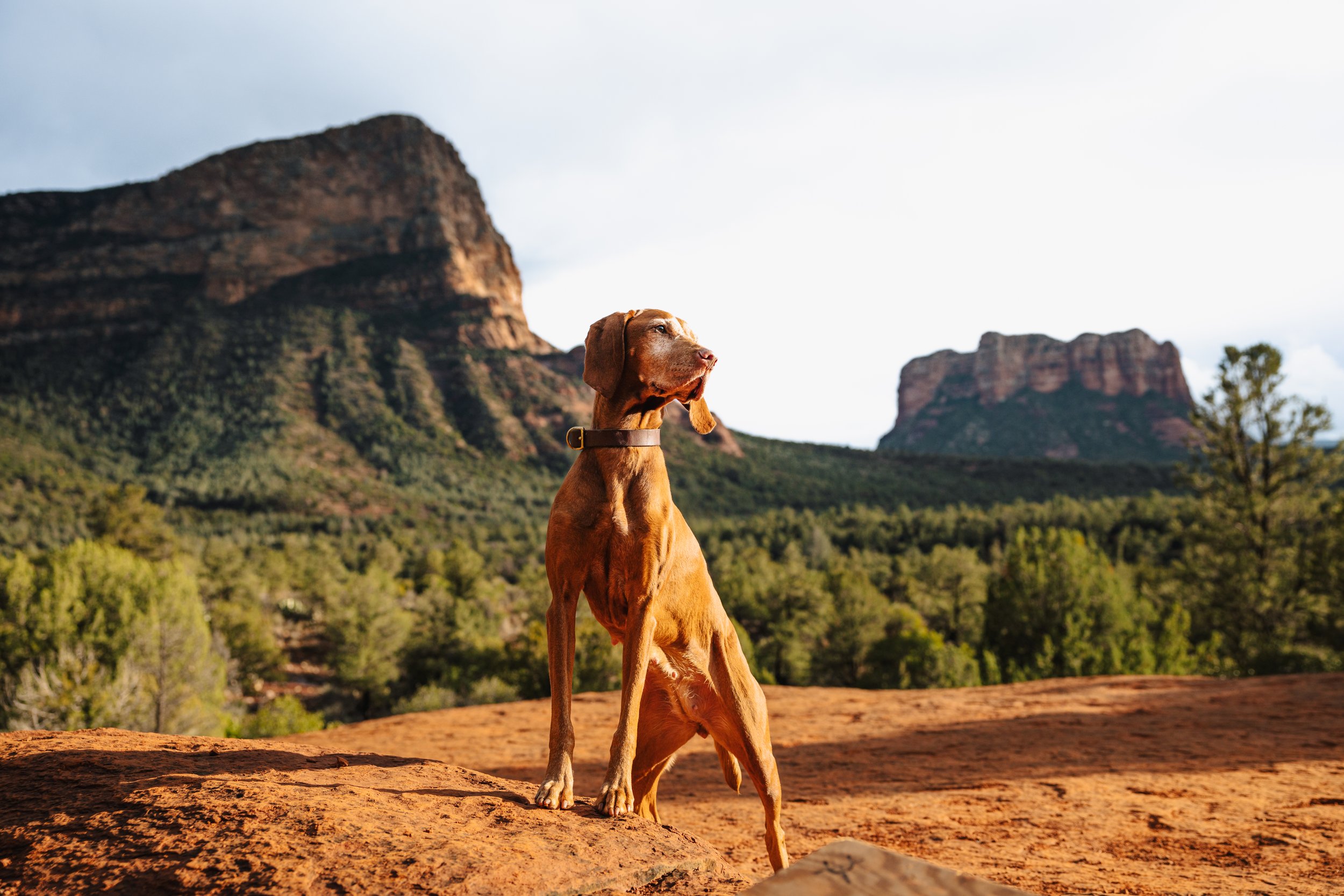 EM_SEDONA_EXPORT-80.jpg