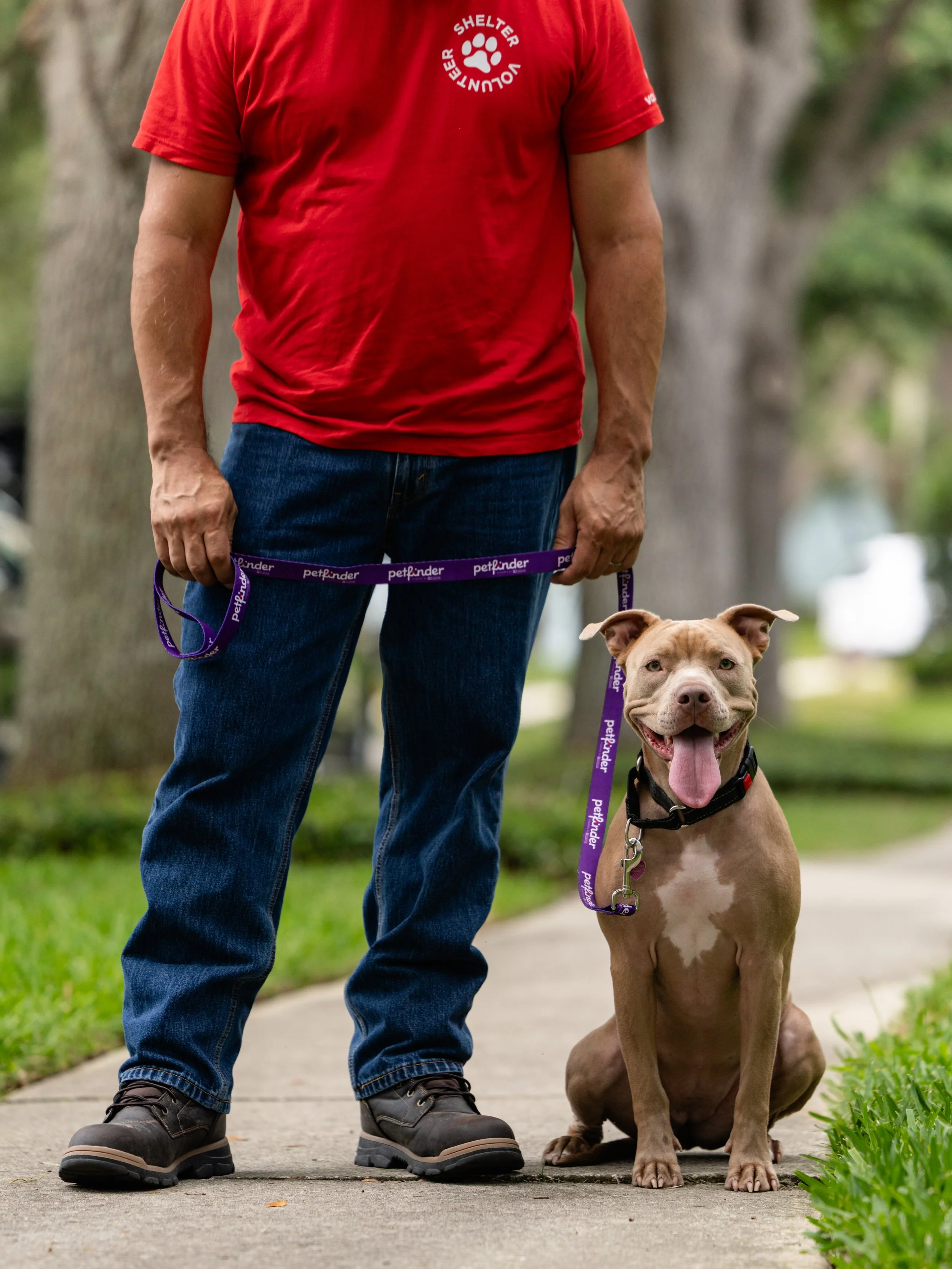 EM_PETFINDER_TAMPA-202.jpg
