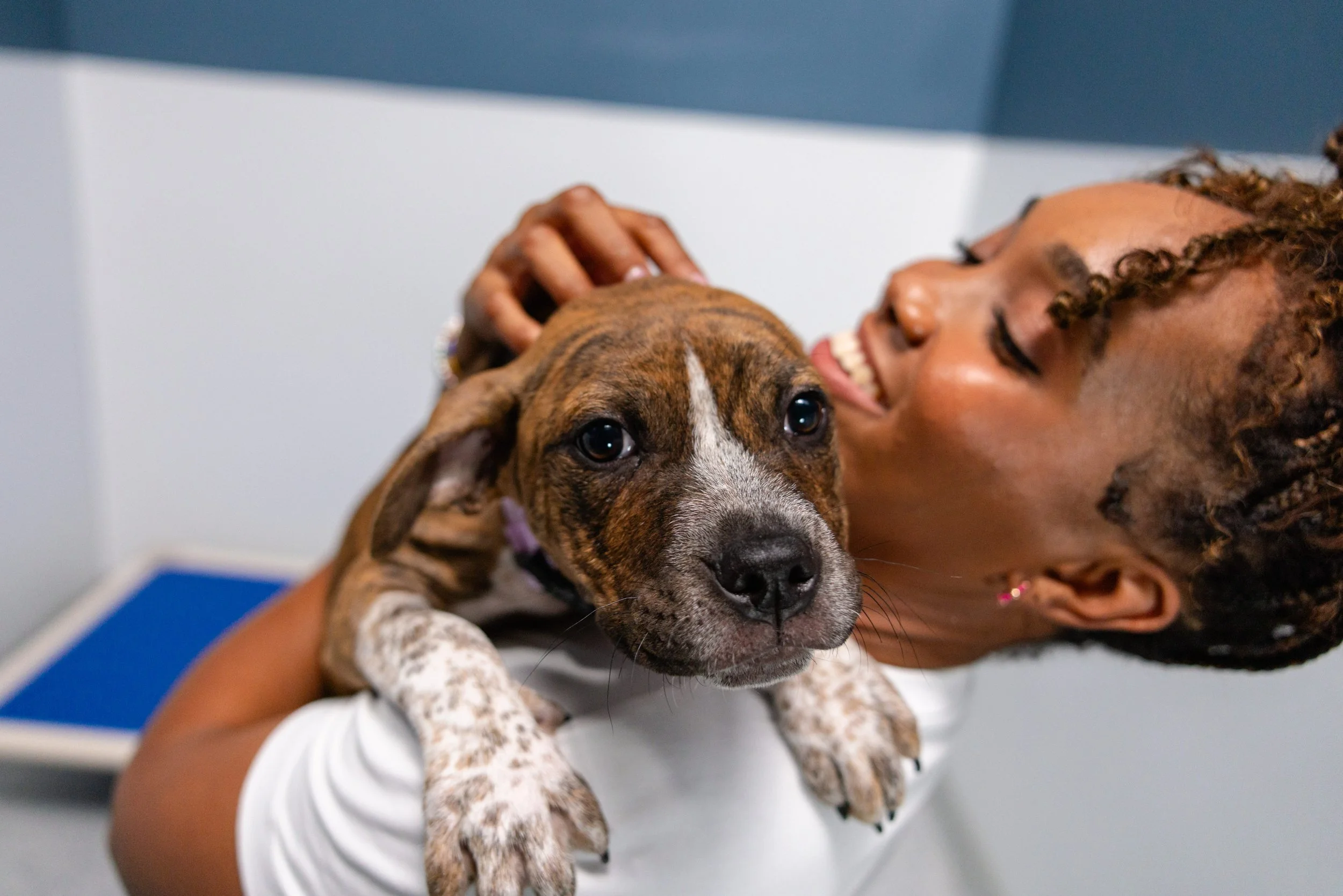 EM_PETFINDER_TAMPA-77.jpg