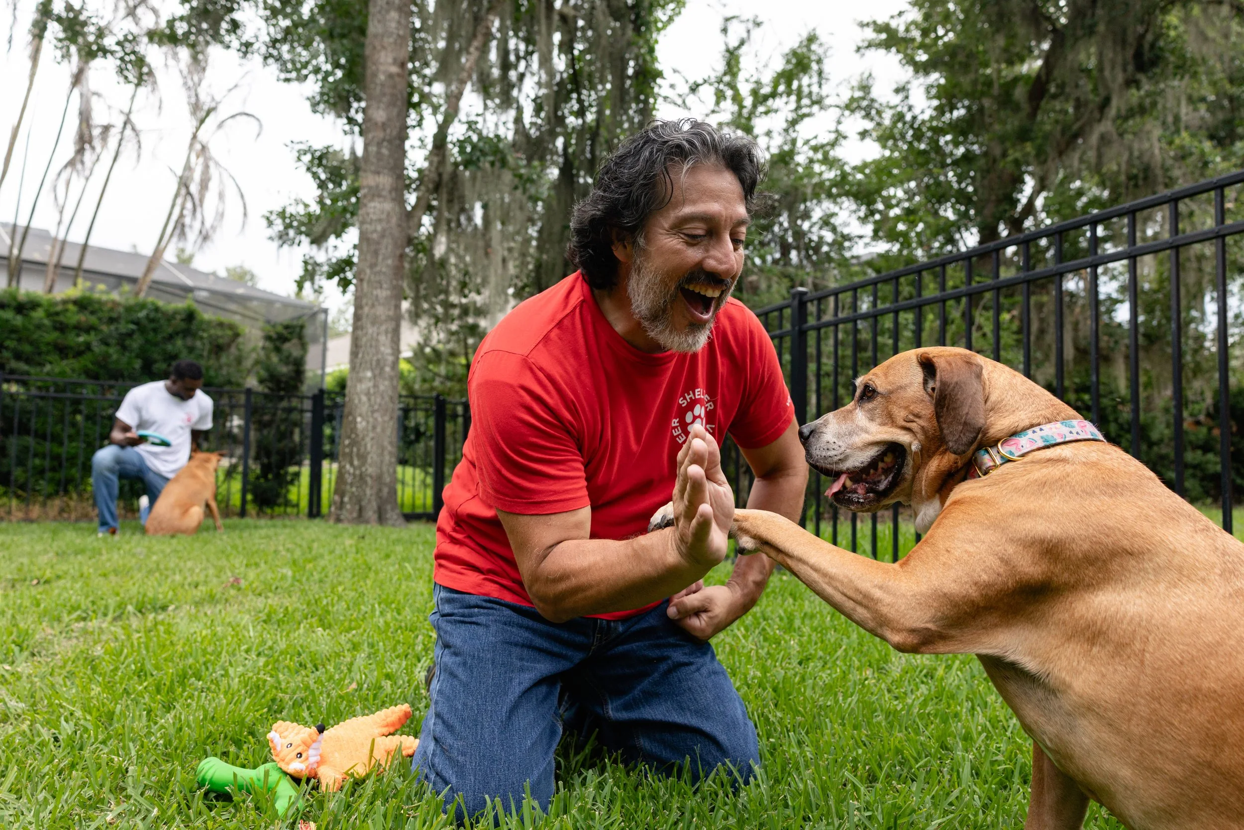 EM_PETFINDER_TAMPA-211.jpg