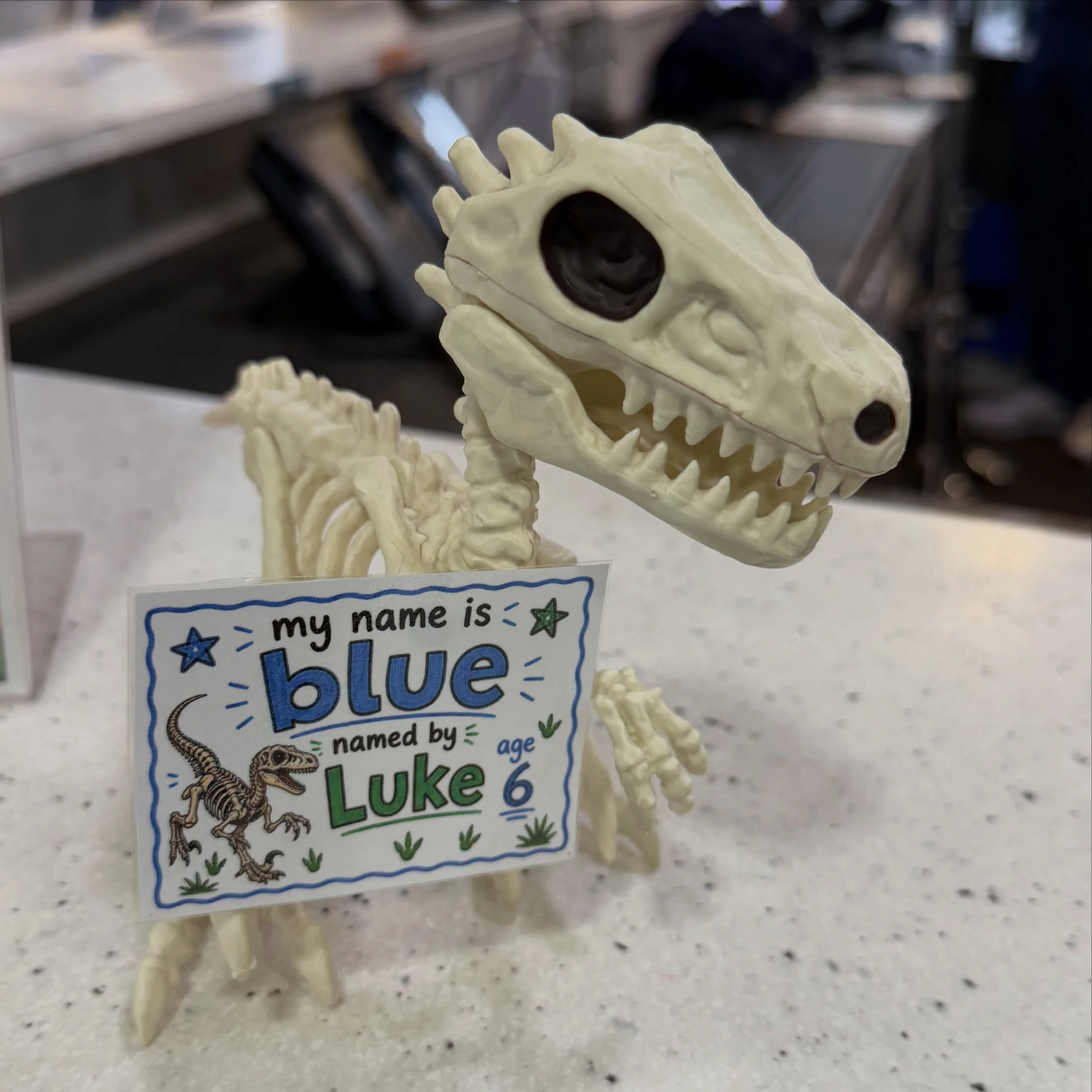 And the winning name is&hellip; BLUE! 🦖💙

Luke - aged 6, explained why he chose this name.

&ldquo;That&rsquo;s a raptor and in the Jurassic World movie there&rsquo;s a raptor called Blue, so they should name him that.&rdquo; 

We absolutely loved 