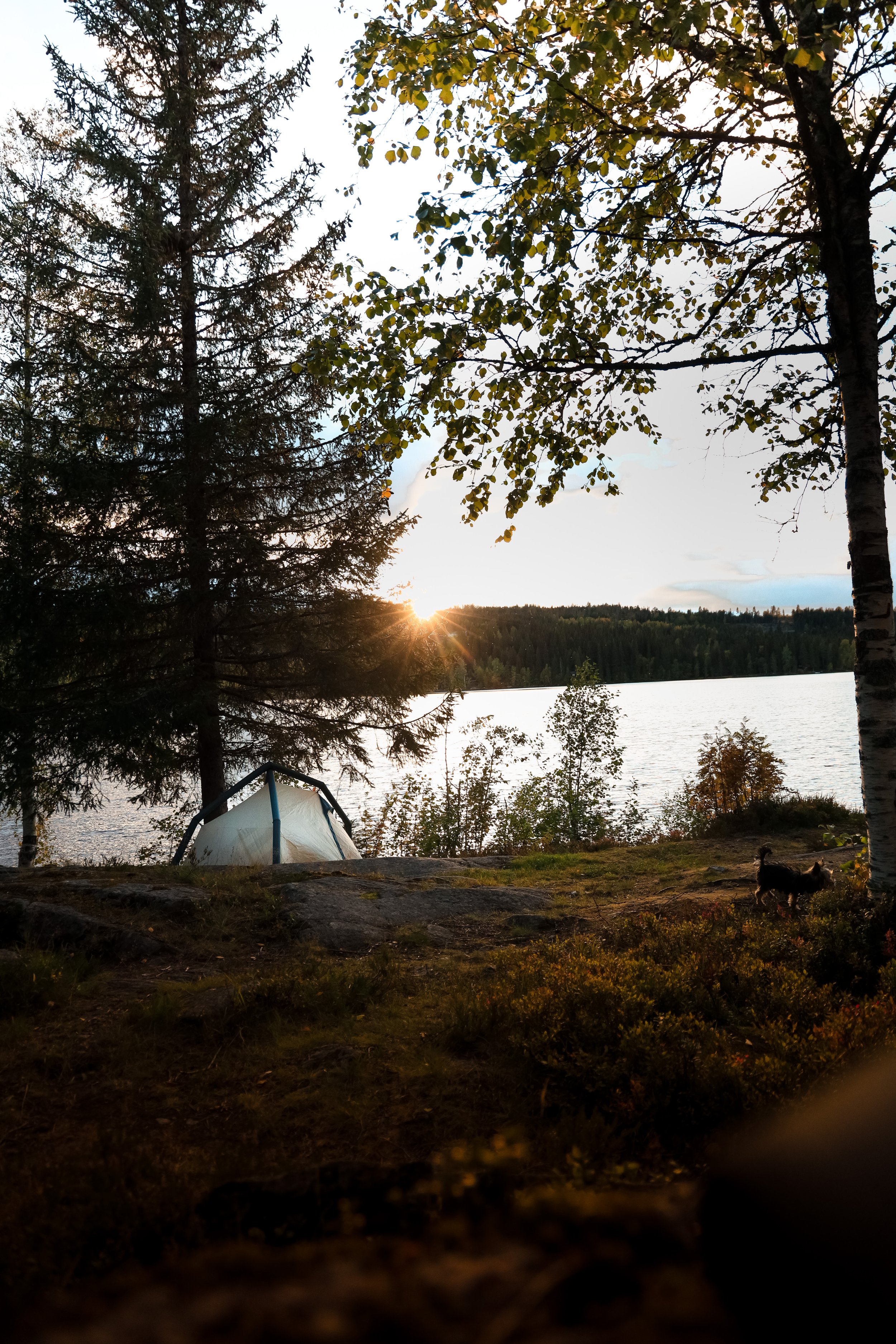 Bilde 13.09.2020, 21 38 37.jpg