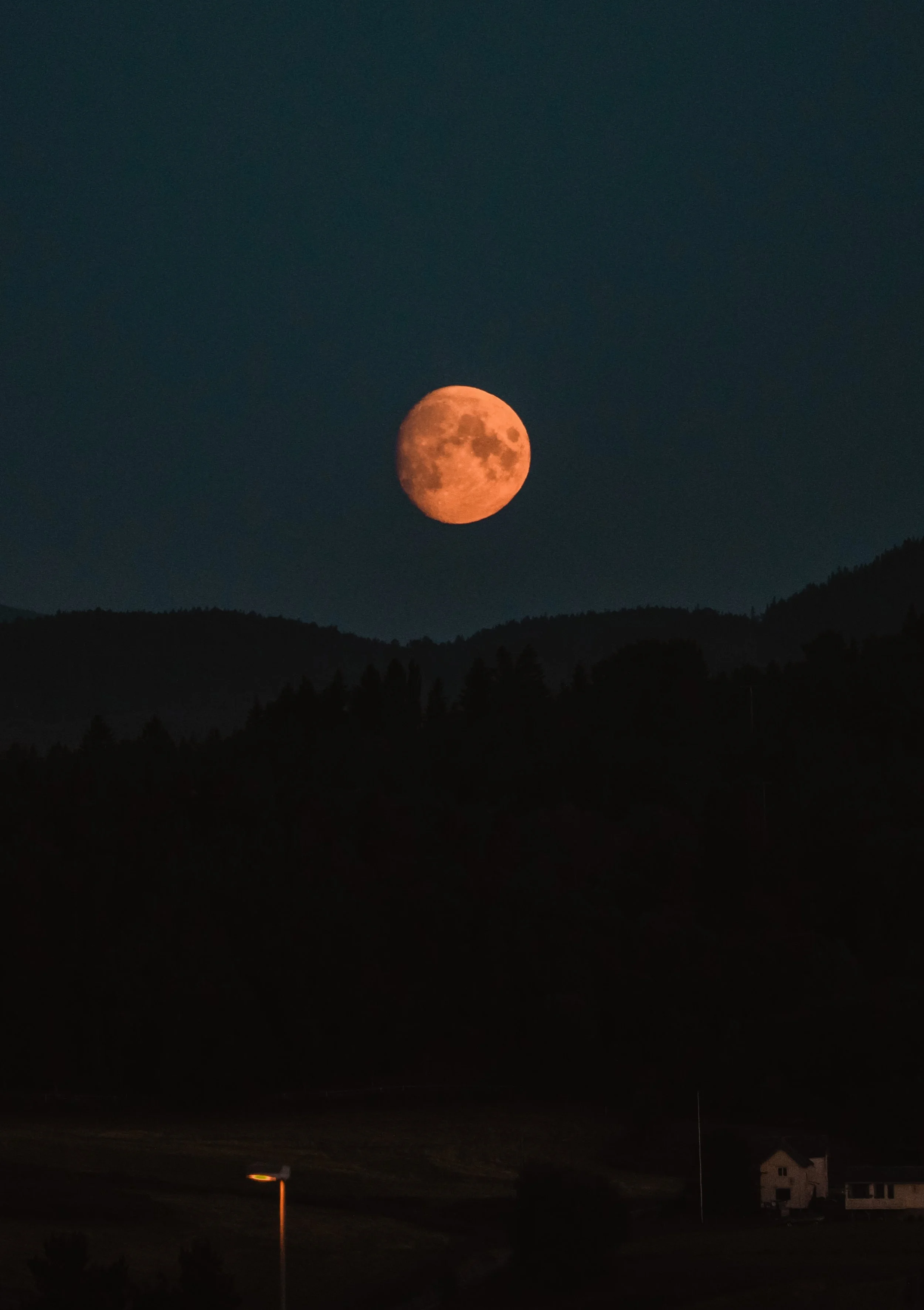 Bilde 31.07.2020, 01 12 46.jpg