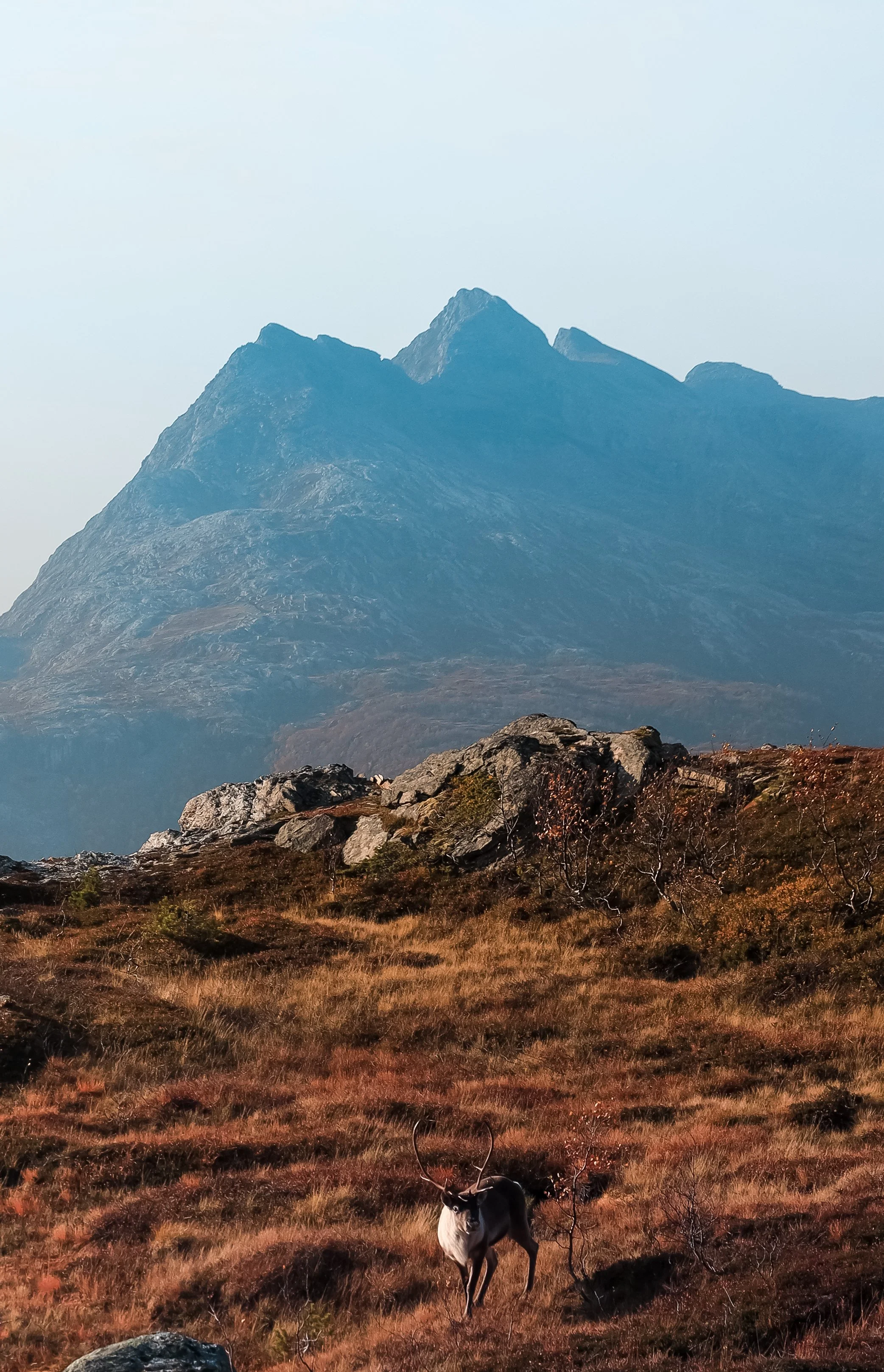 Bilde 02.10.2020, 16 09 16.jpg