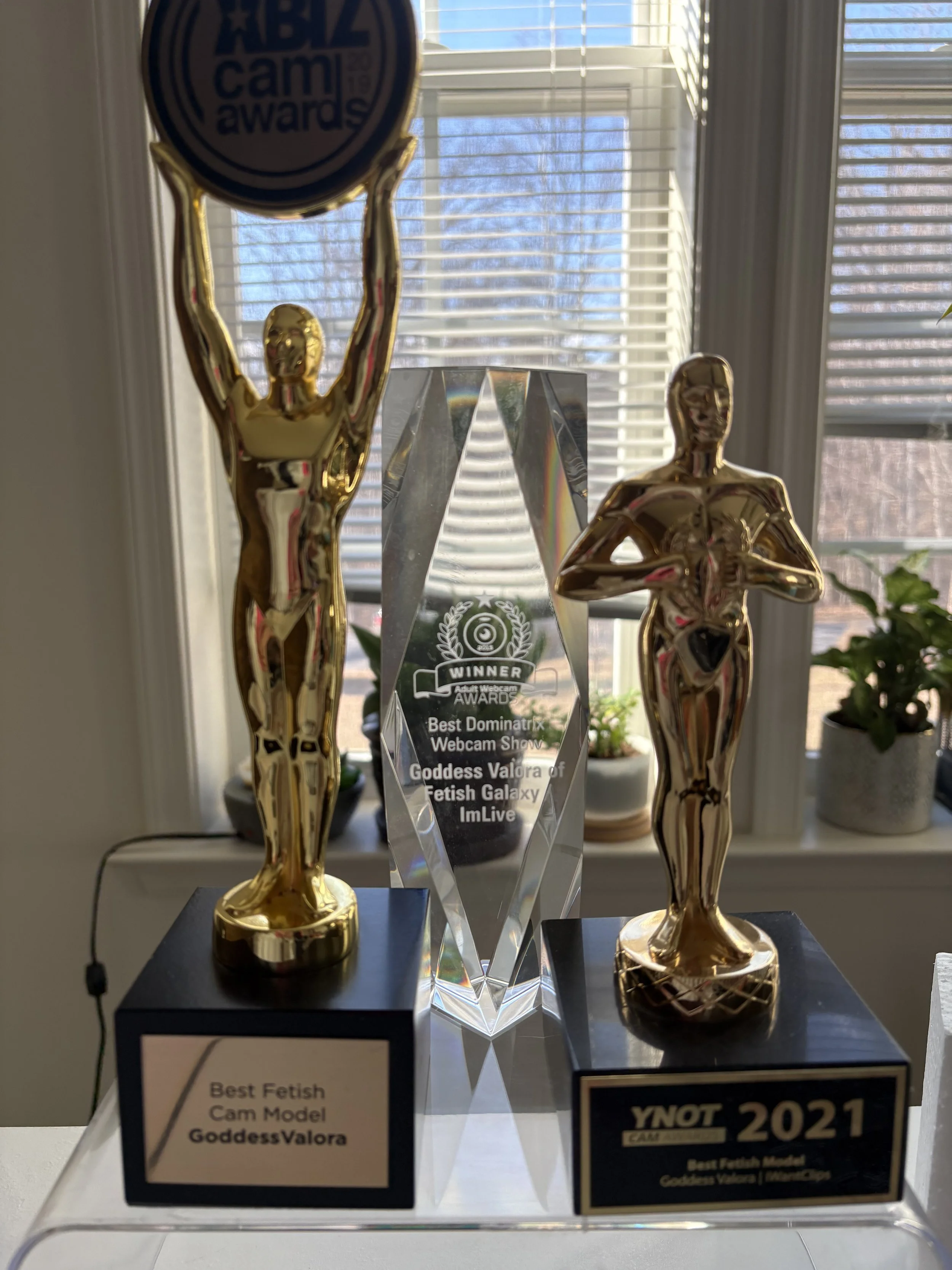 Awards Won