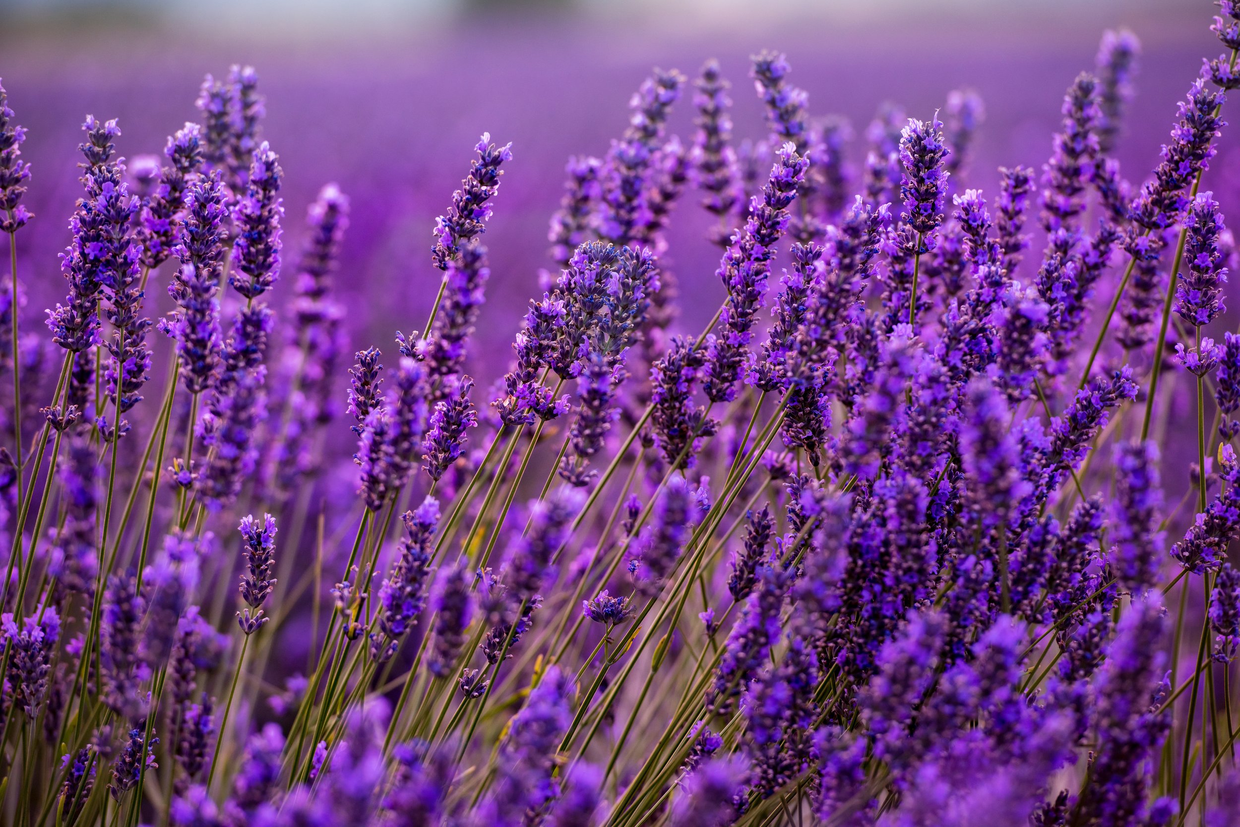 3 Essential Tools to Calm Your Anxious Mind.