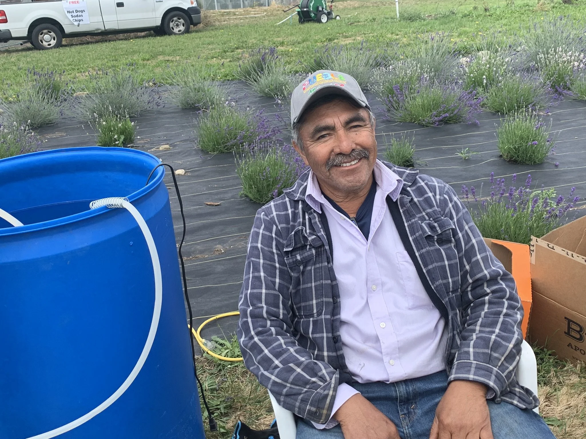 The Lavender Festival in Sequim, WA — Day To Grow