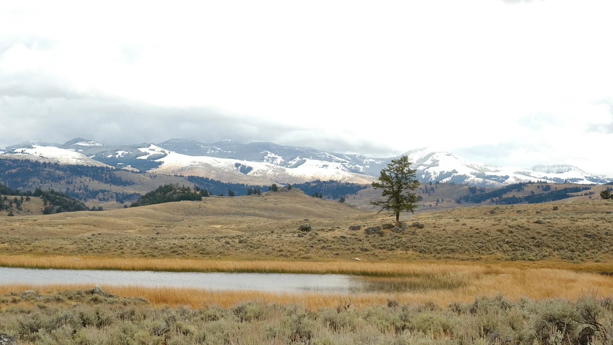 DSCF2379-2.jpg