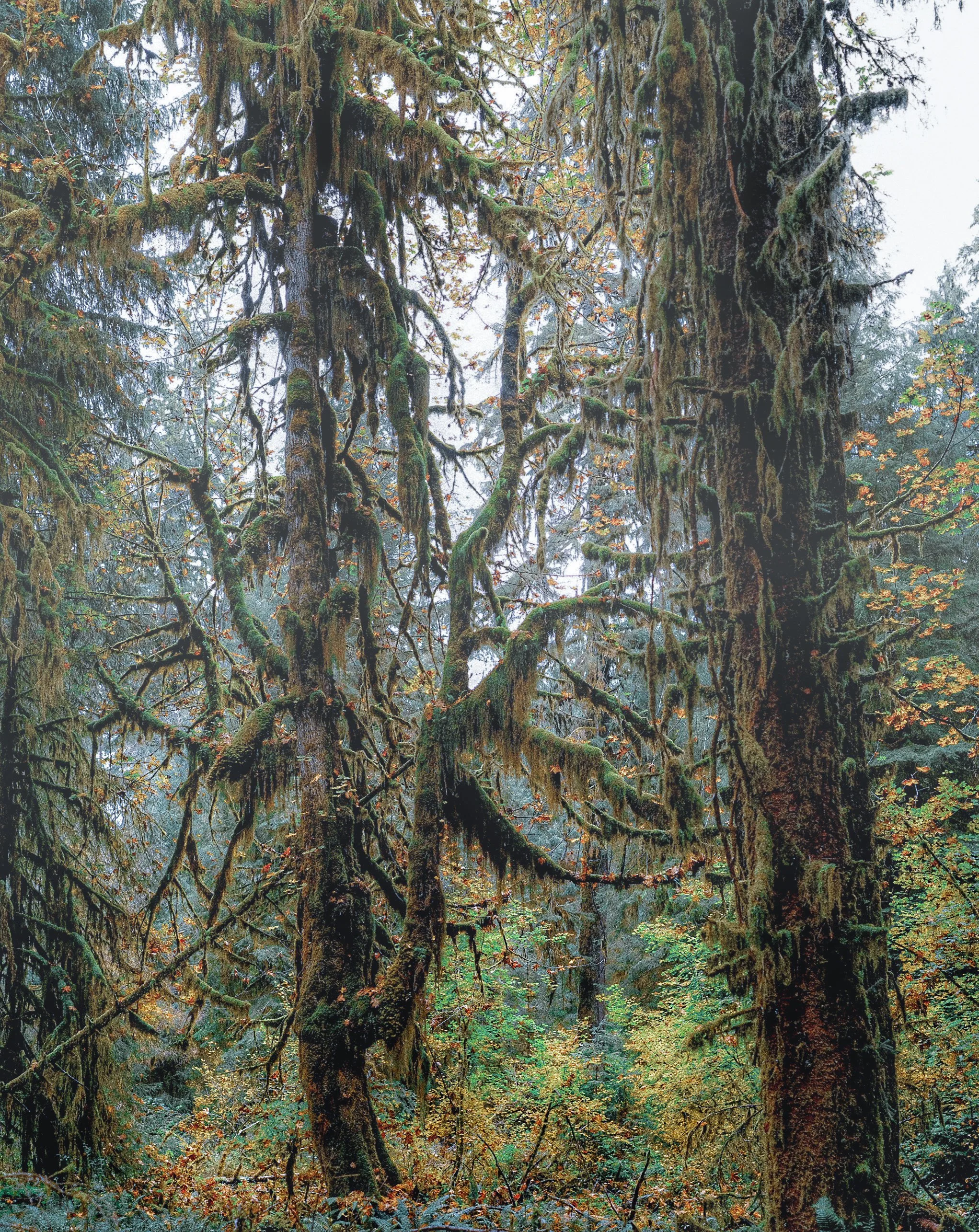 93B175E0-8A46-4C75-AF59-D8E9D8C15E14-3340-000003F0008F7CD5-Pano.jpg