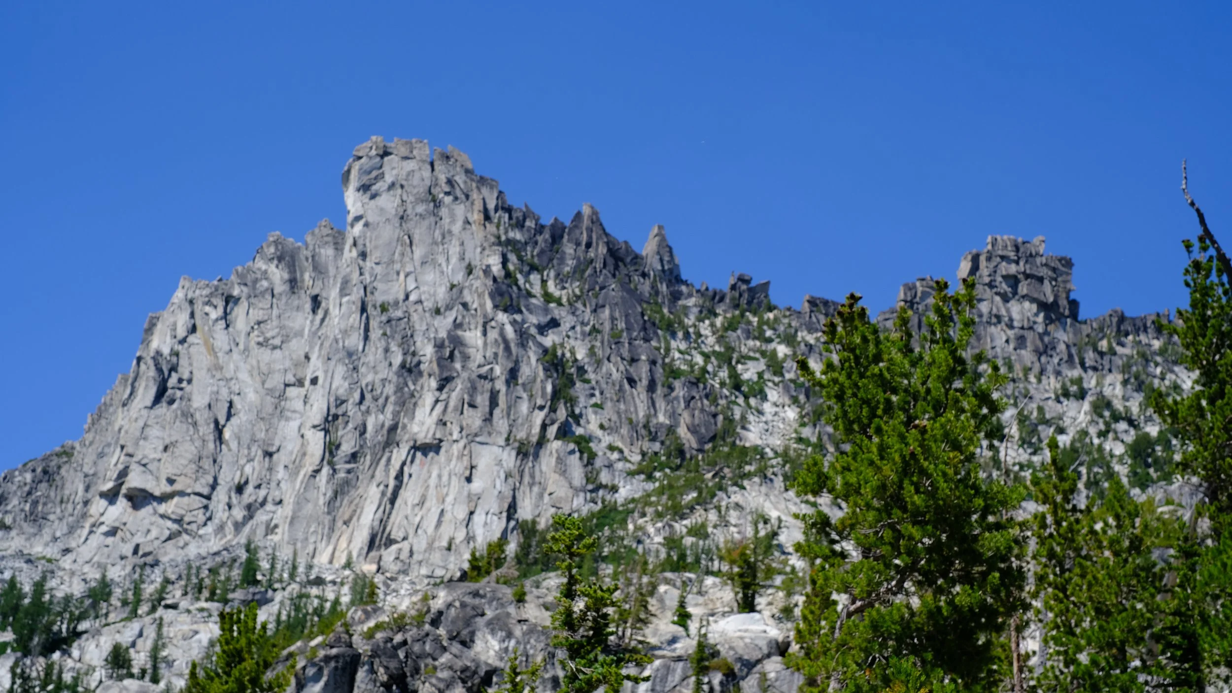 DSCF6601.jpg