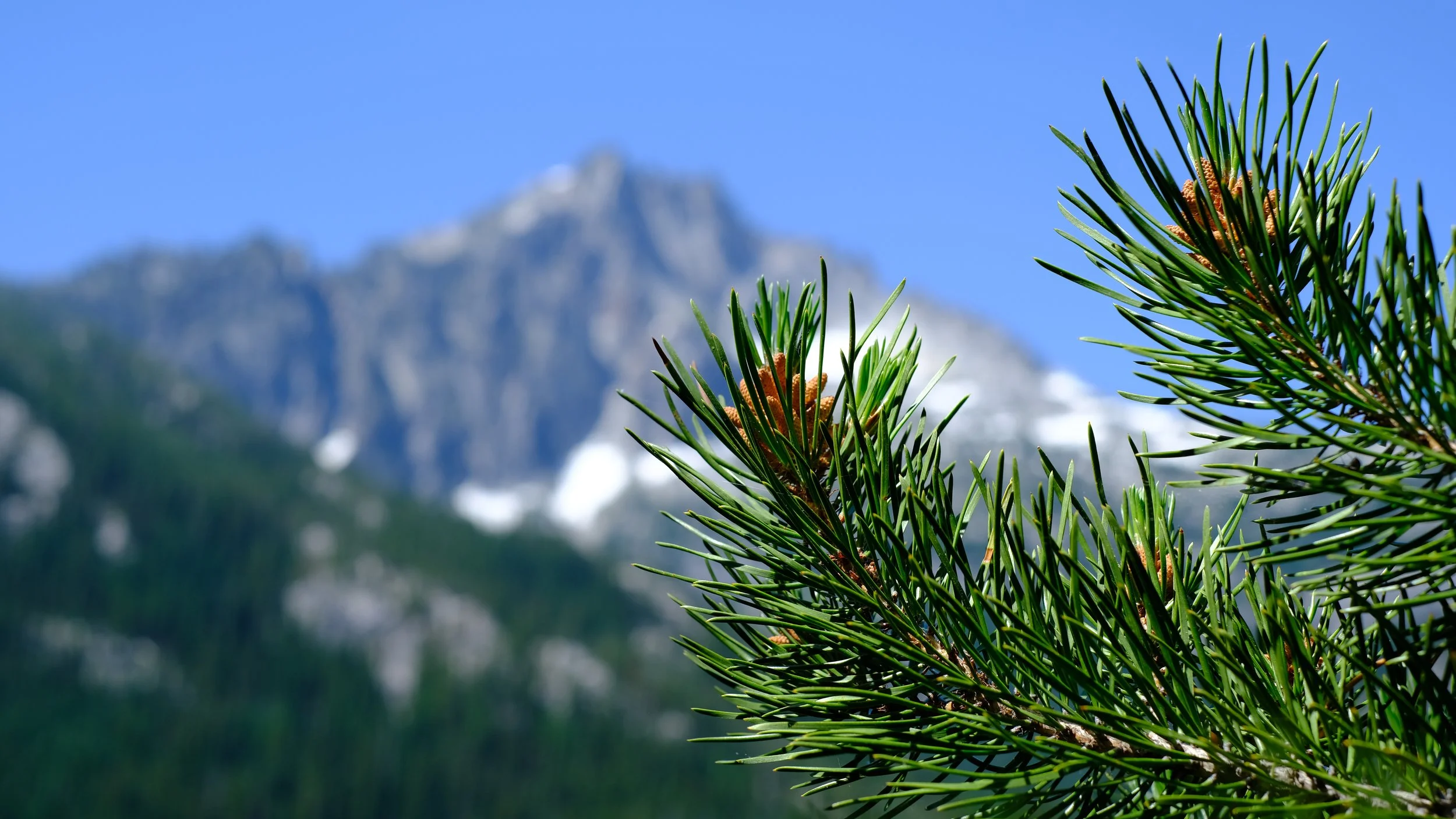 DSCF6390.jpg