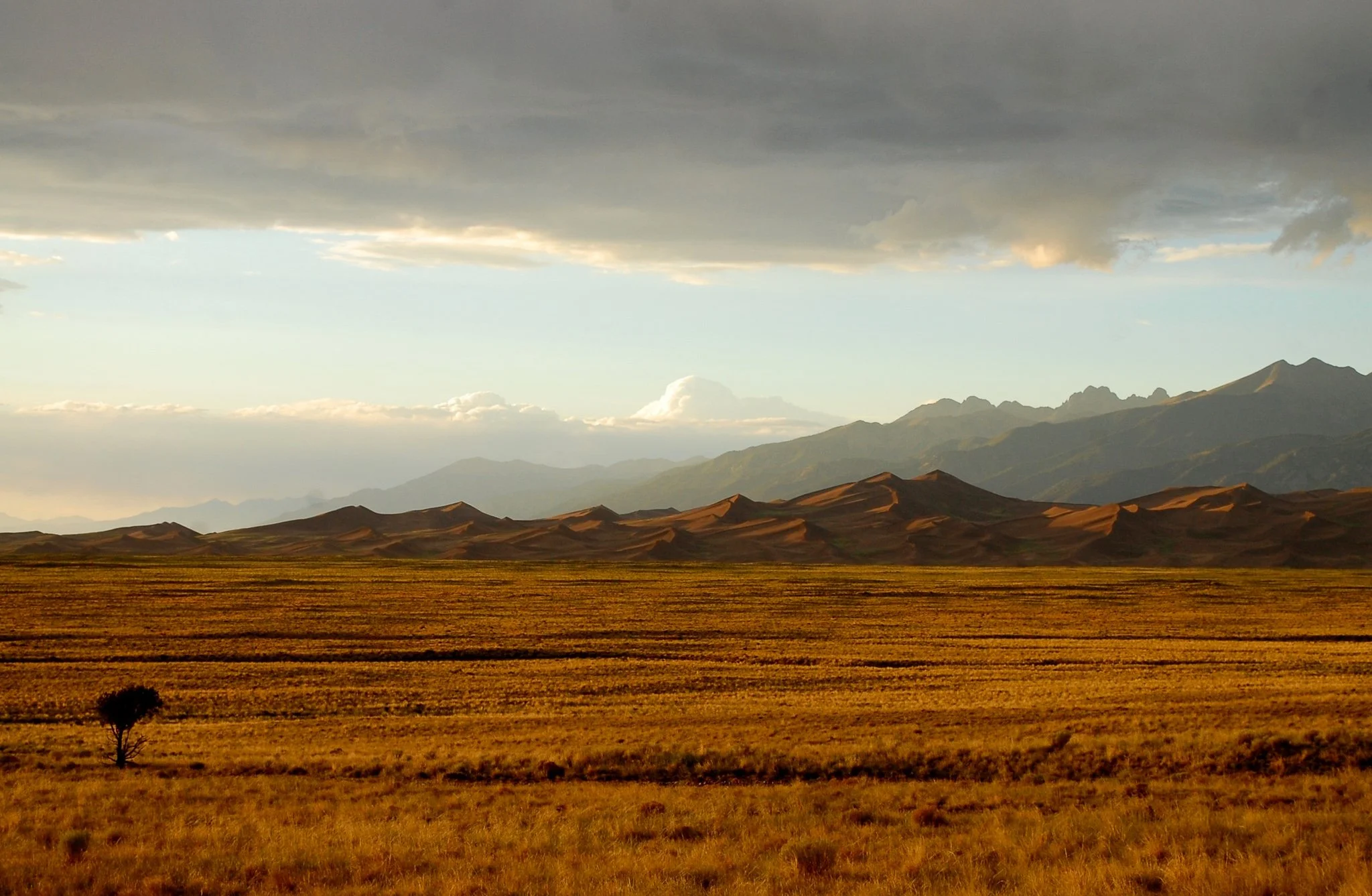 DSC_0667.jpg