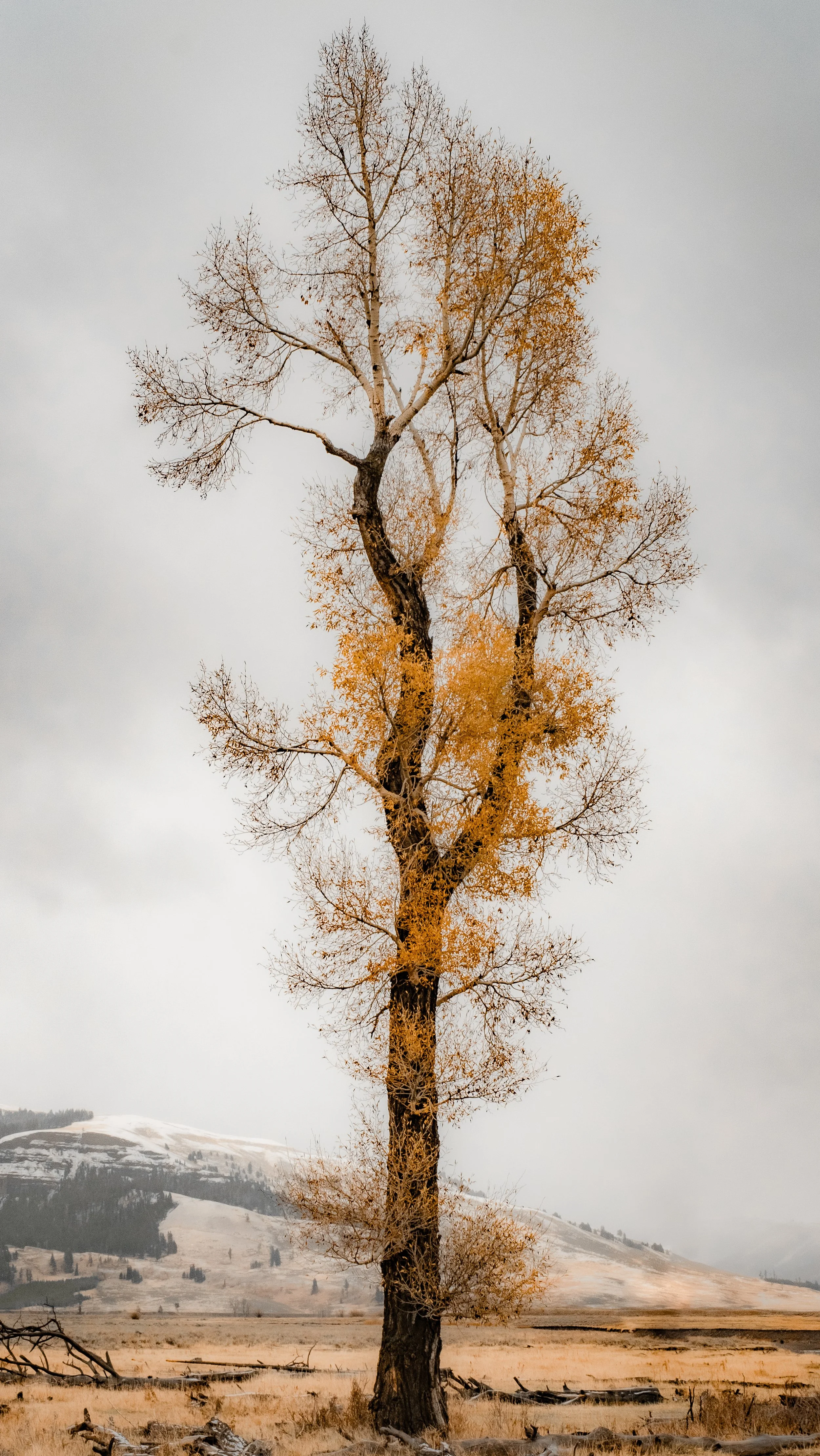 DSCF2114.jpg
