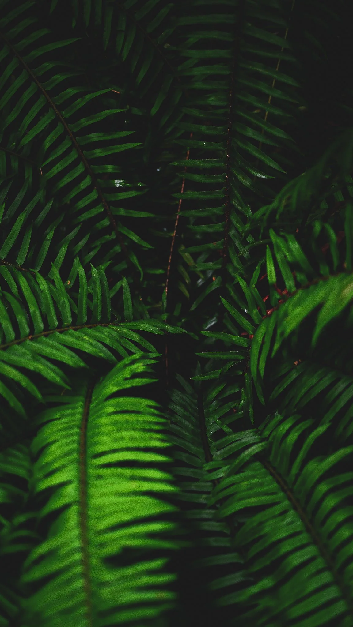 32962F5A-19F8-4224-A76C-3B0114767575-3340-000003F1A547CA6F.jpg