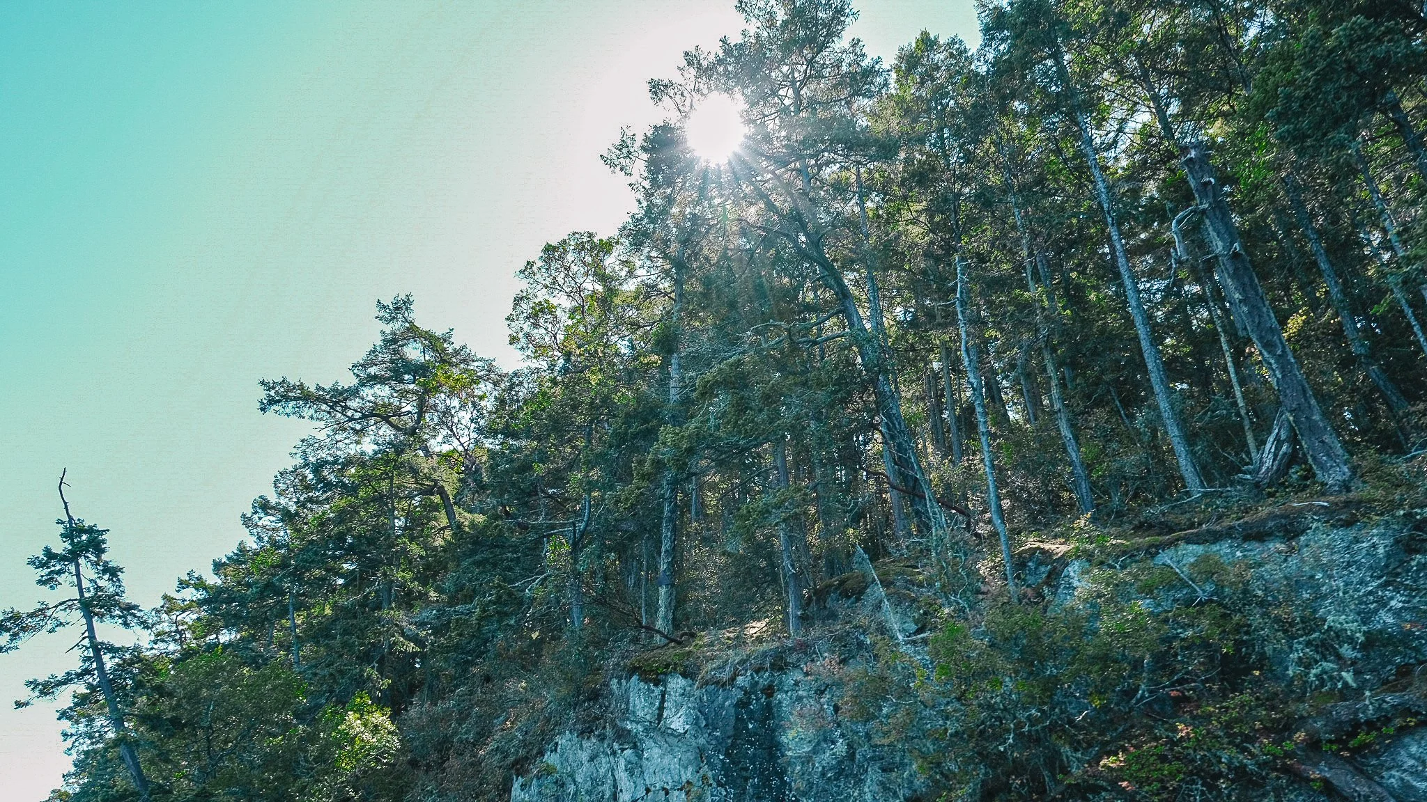 27E09440-0C68-4FED-BBE0-076C91D21669-18994-00000CA614AC683B.jpg