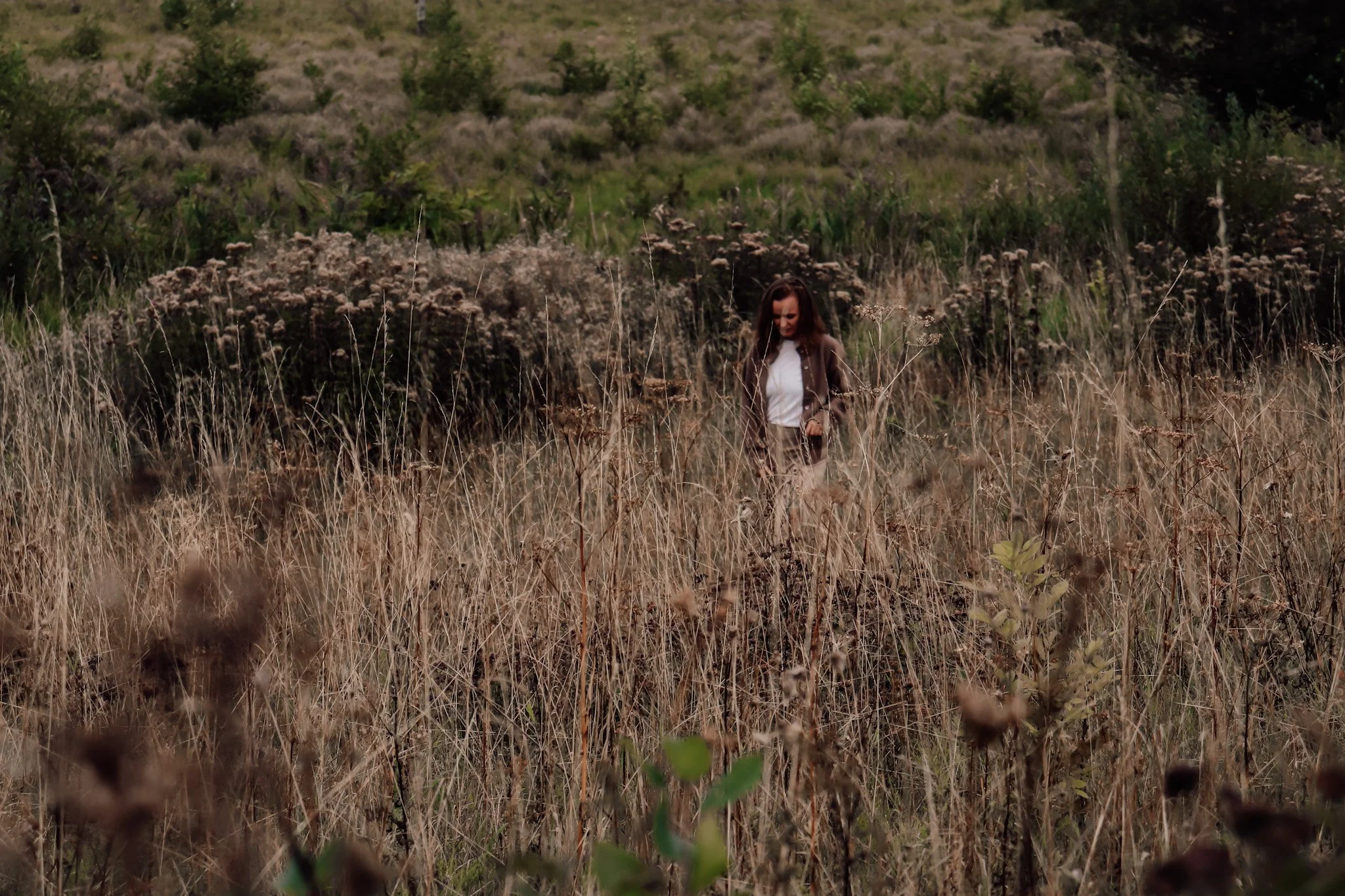 Polyvagal teori i sorgarbejdet