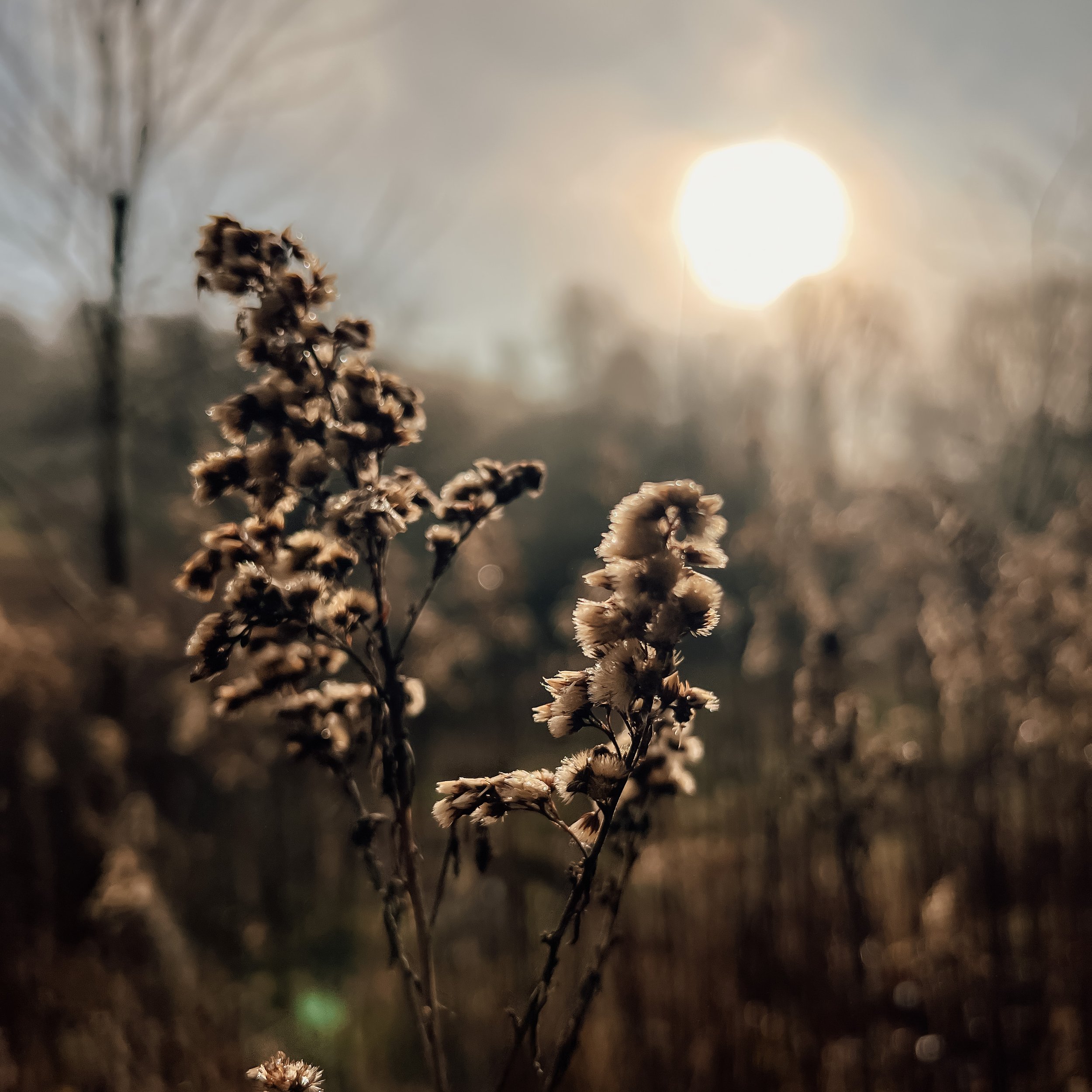 Væk minderne til live gennem sanserne