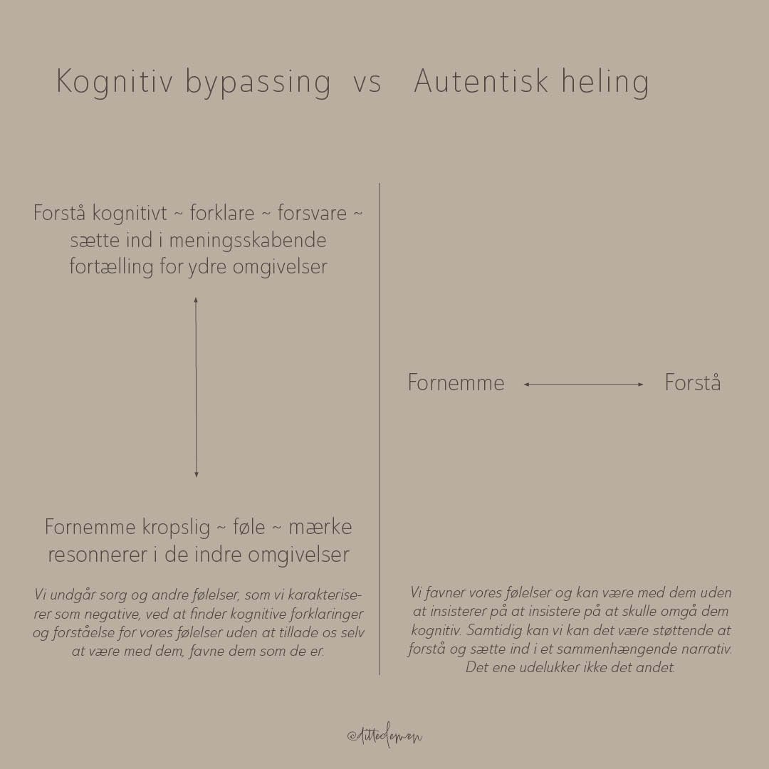 Kognitiv bypassing