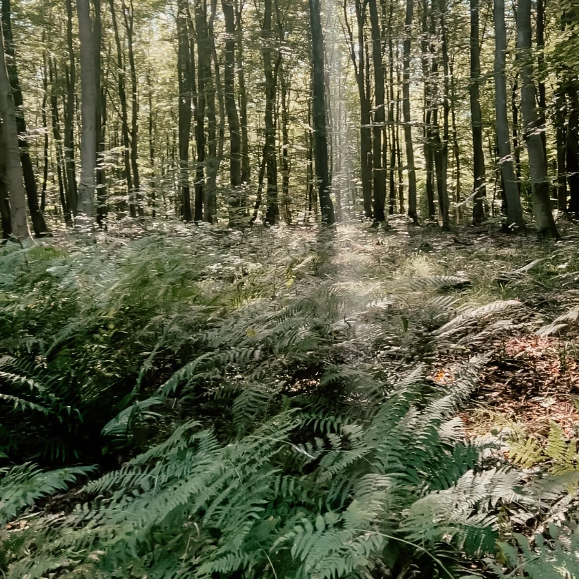 Ord tager dig ud af kroppen