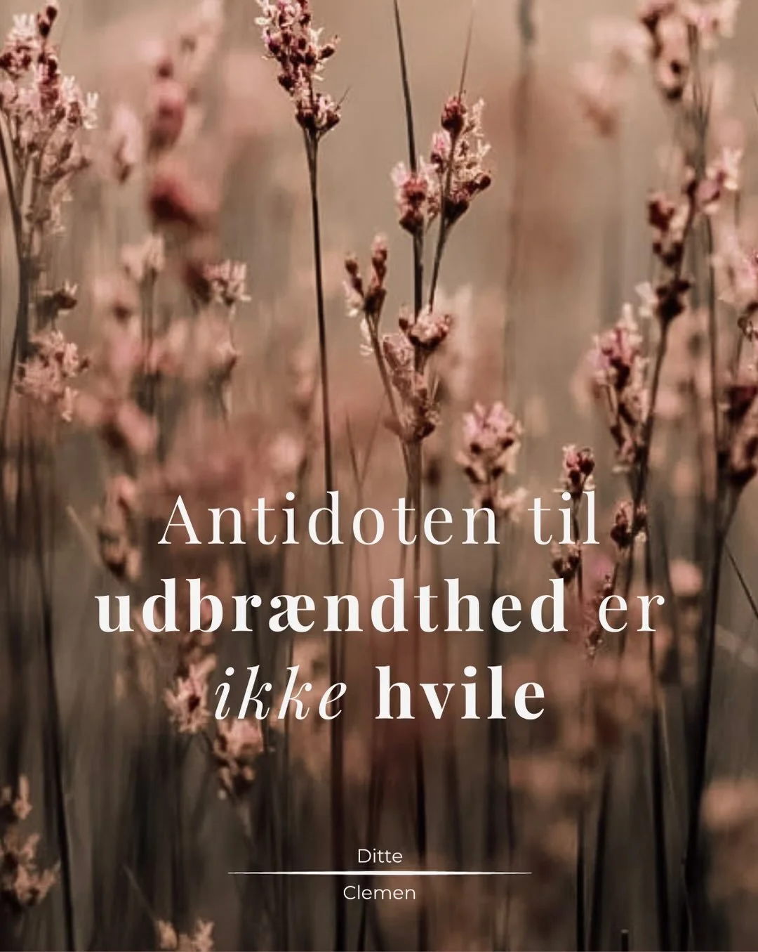 Jeg har &eacute;t feriel&oslash;fte til mig selv i &aring;r. Det er, at jeg skal ligge ned mindst 20 hver dag. Ikke i sengen om morgenen eller aftenen, men i l&oslash;bet af dagen. 

I ugerne op til sommerferien f&oslash;ltes det som om, tr&aelig;the