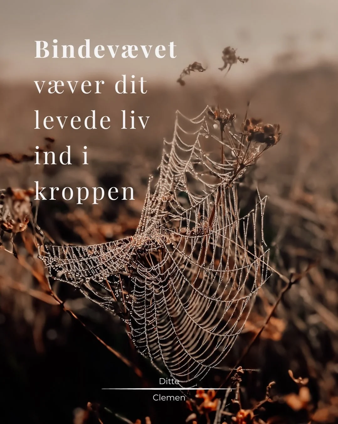 N&aring;r livet overv&aelig;lder os, kan det f&oslash;les som om, smerten &aring;bner os og efterlader usynlige ar p&aring; vores inderside. De indre lag af bindev&aelig;v omorganiserer sig som et vidnesbyrd om levet liv. Som et vidnesbyrd om de ople