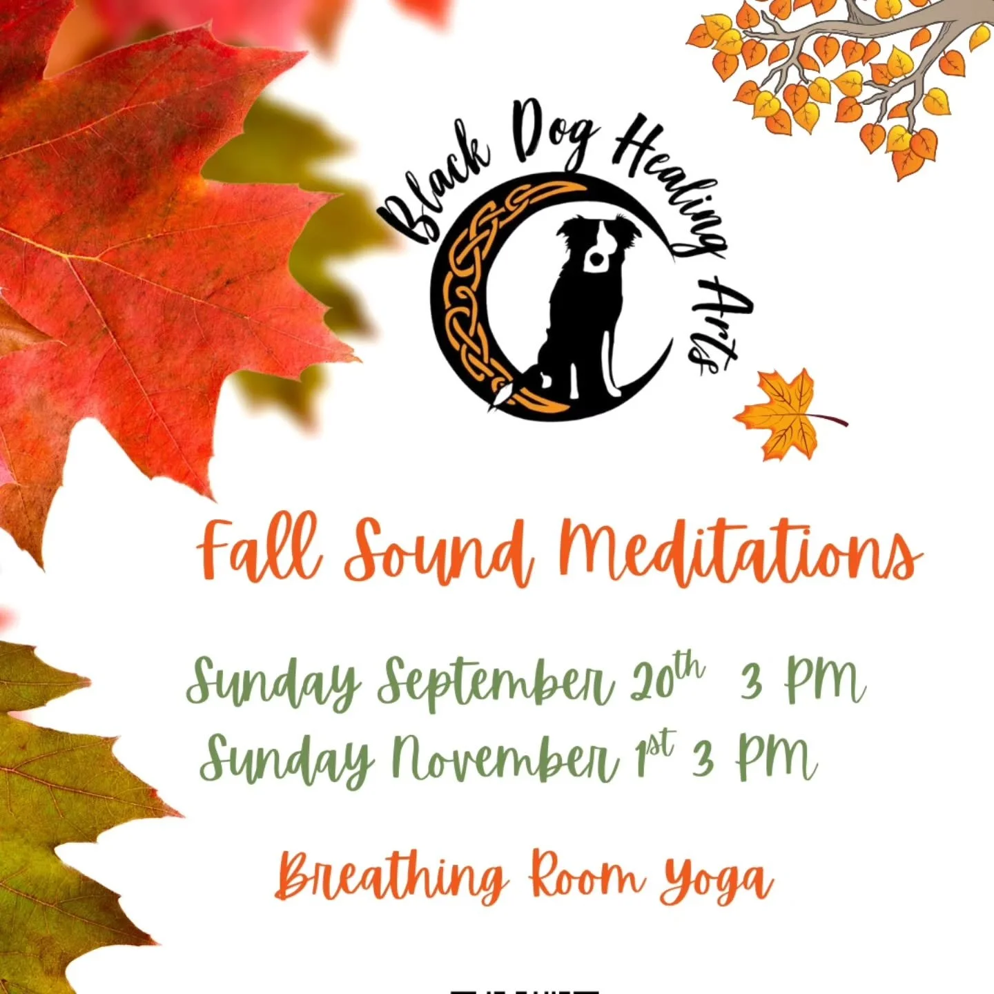 oin us for an Autumnal Equinox Sound Meditation and Personal Harvest Intention and Reflection. The equinox marks the changing of seasons, as well as our descent into the darker months. Celebrate this season of rest and turning inward. Details on my w