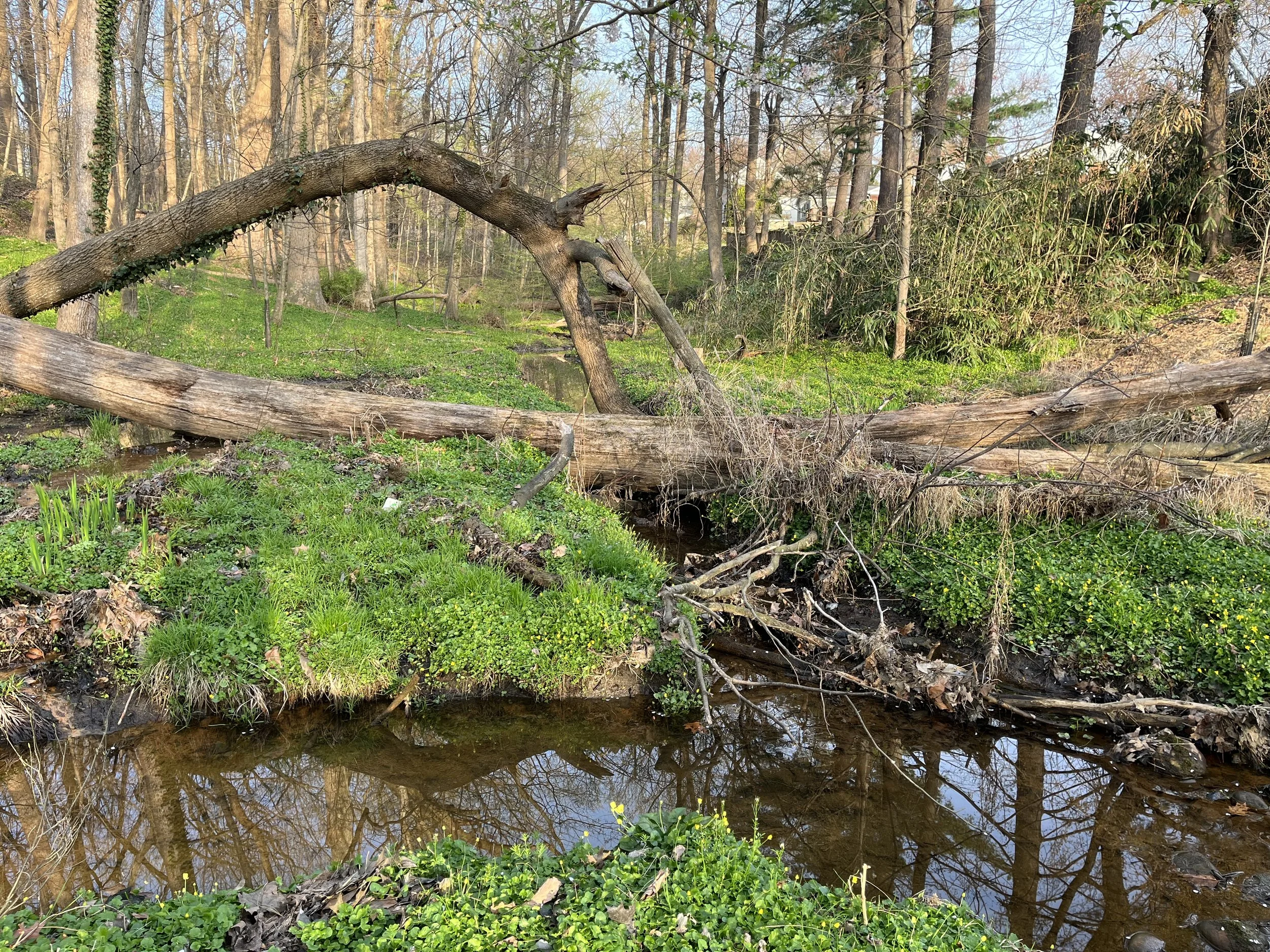 What not running taught me about acceptance