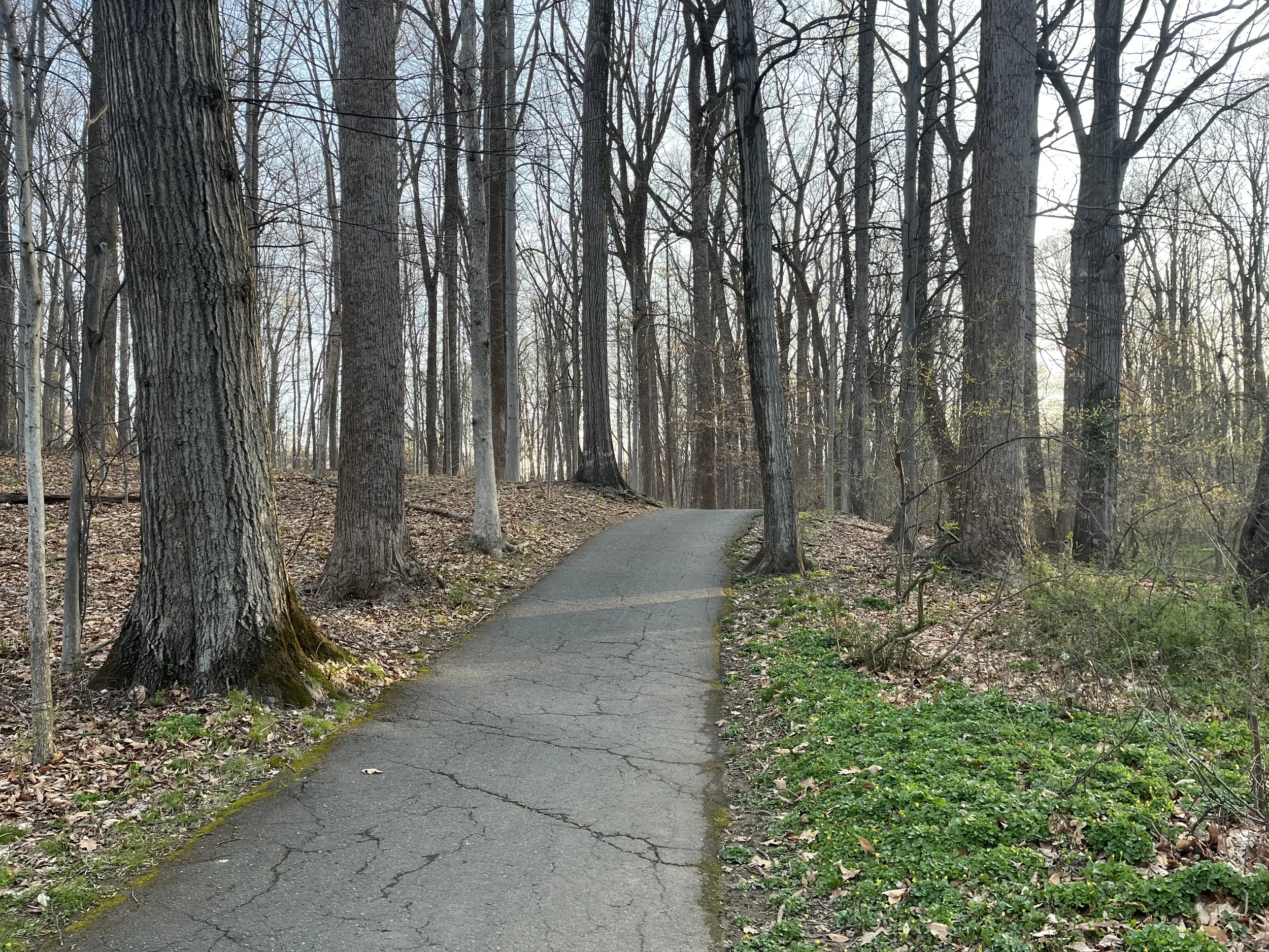 What running taught me about acceptance