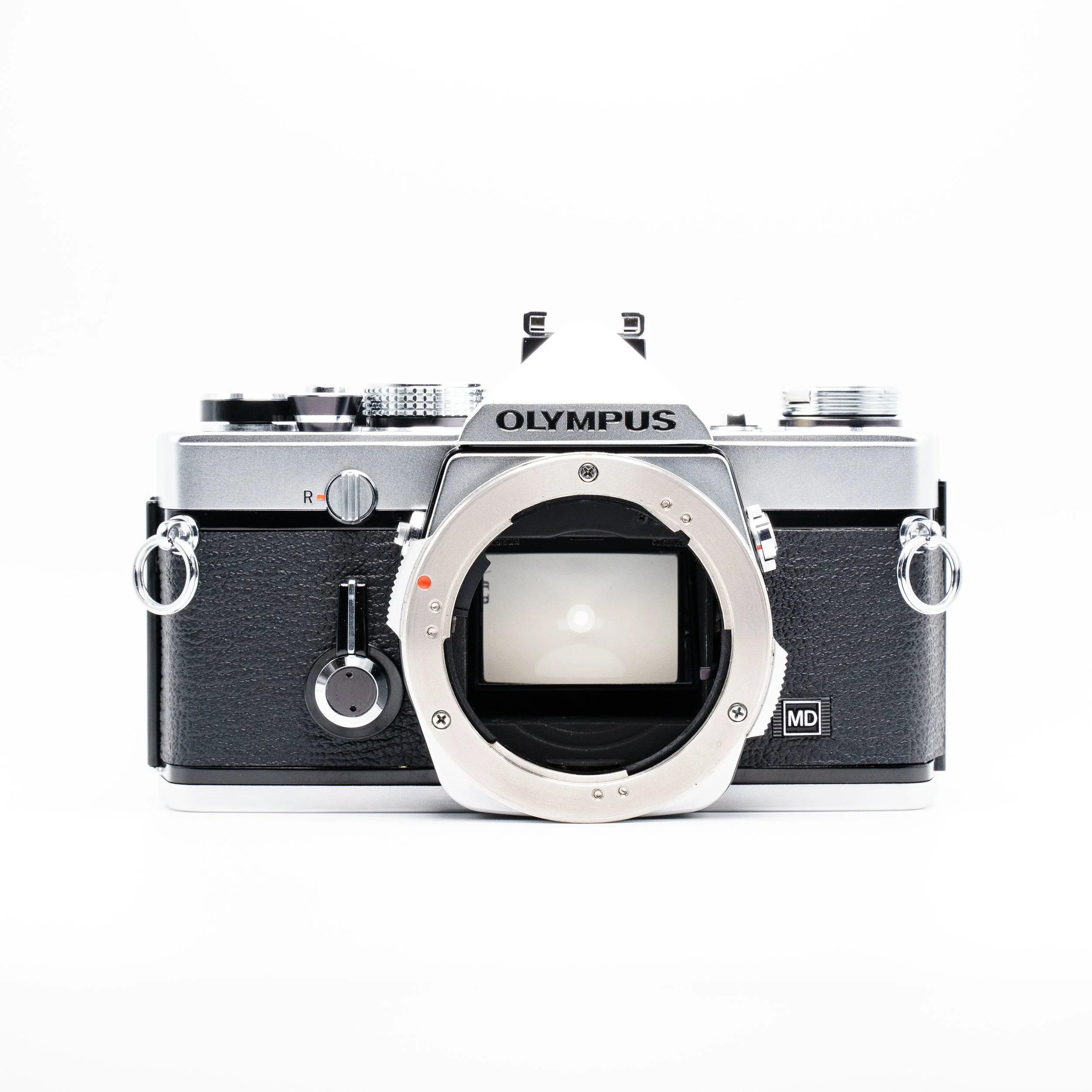 AdCam 2025.01.02-81.jpg