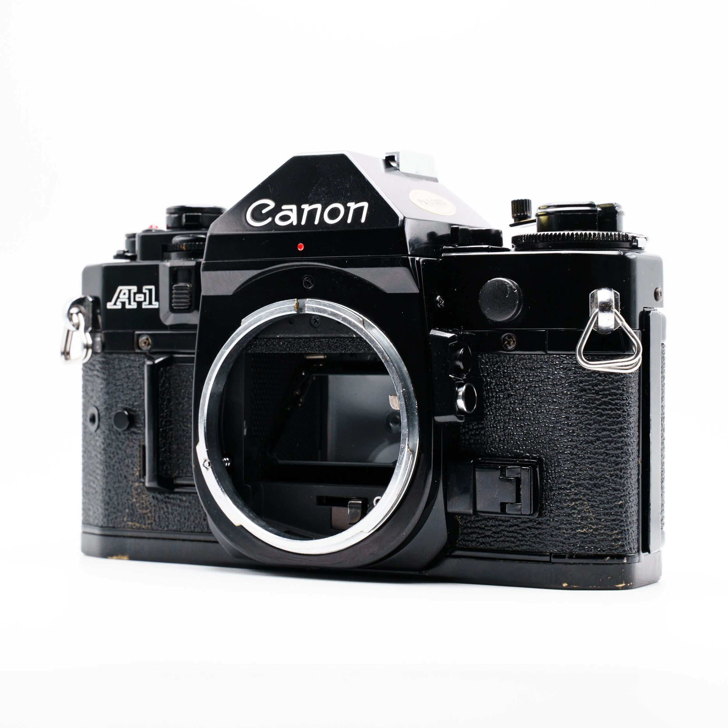 AdCam 2025.01.02-69.jpg