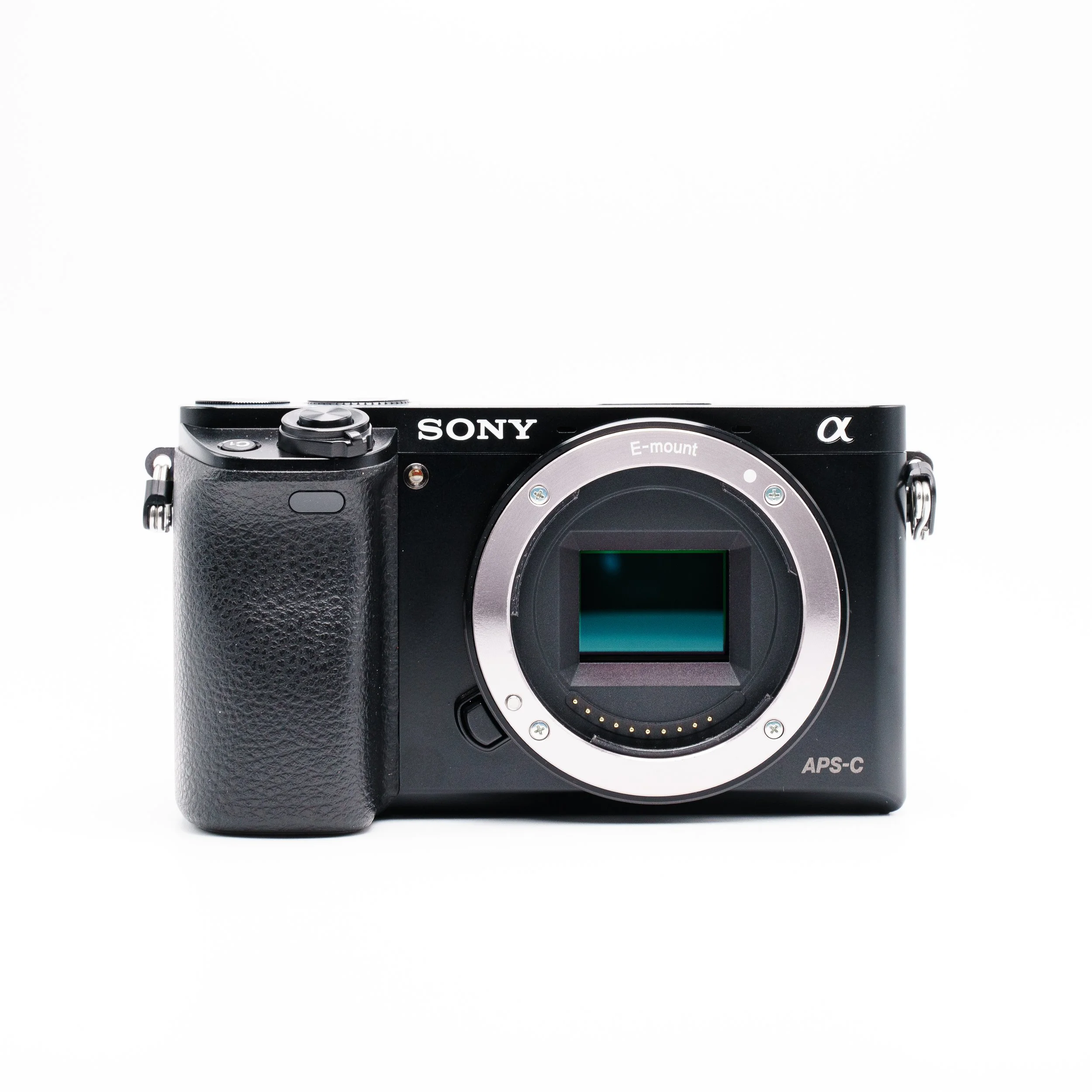 AdCam 2025.01.02-160.jpg