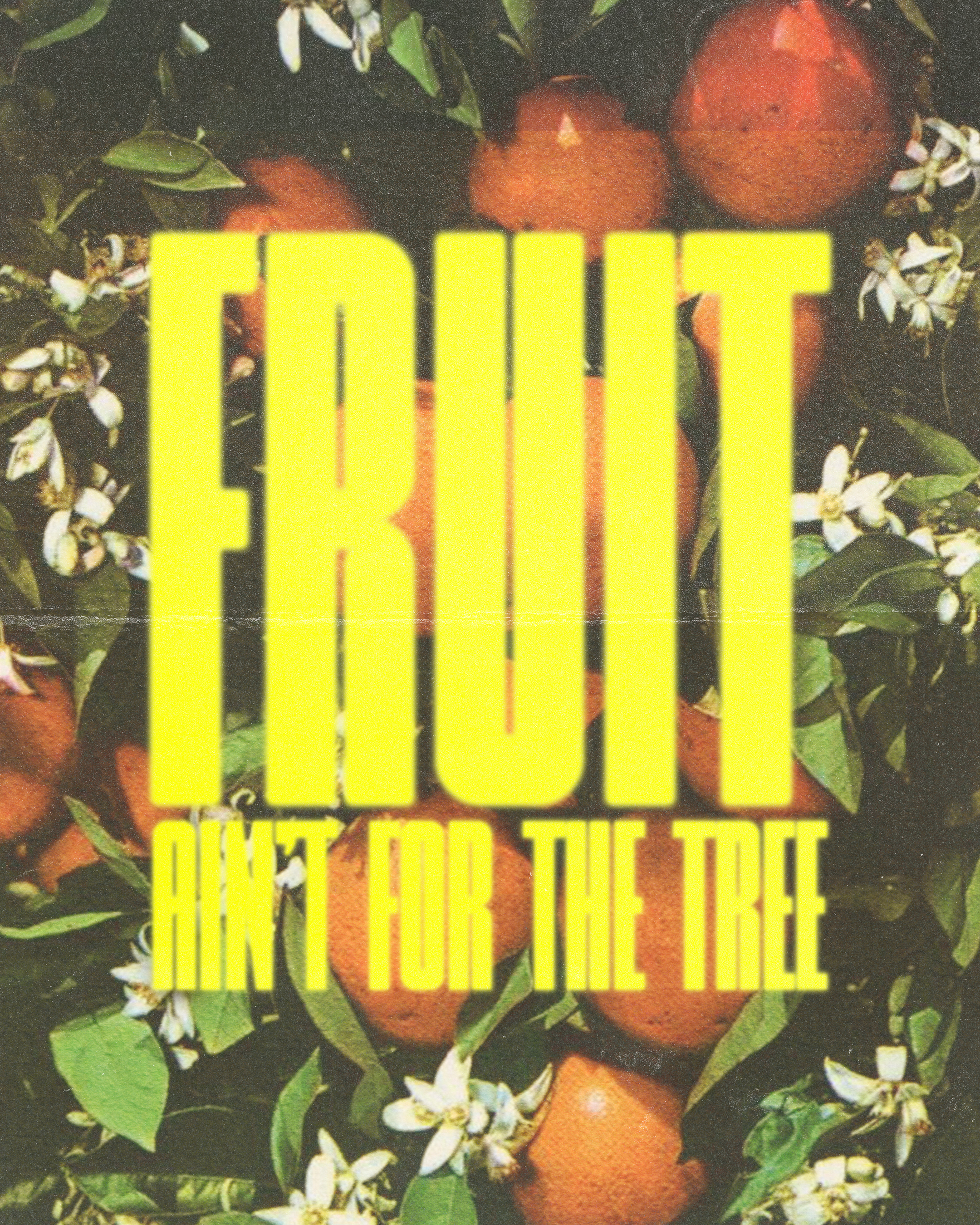 fruit.png