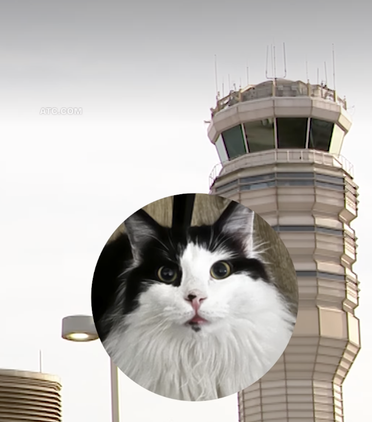 Why are some pilots meowing on emergency frequency?