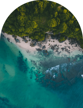 Aerial view of a forested shoreline meeting turquoise water