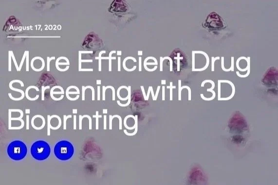 Bioprinting%2525252Band%2525252BDrug%2525252BScreening.jpg